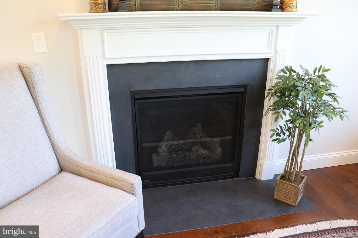 1029 Suffolk Drive Lititz, PA 17543 - Photo 8 of 41 Gas Fireplace