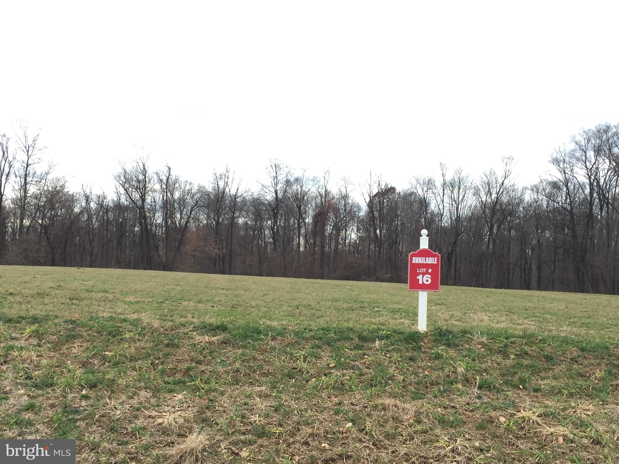 2791 12 Stones Road Bel Air, MD 21015 - Photo 2 of 6 a fire hydrant in the middle of a field