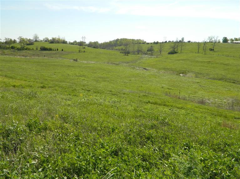 7960 Tates Creek Road Lexington, KY 40515 - Photo 6 of 11 Photo 6