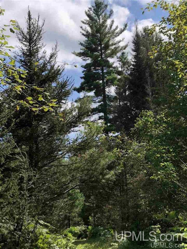 Tbd West Tower Road Ishpeming, MI 49849 - Photo 30 of 44