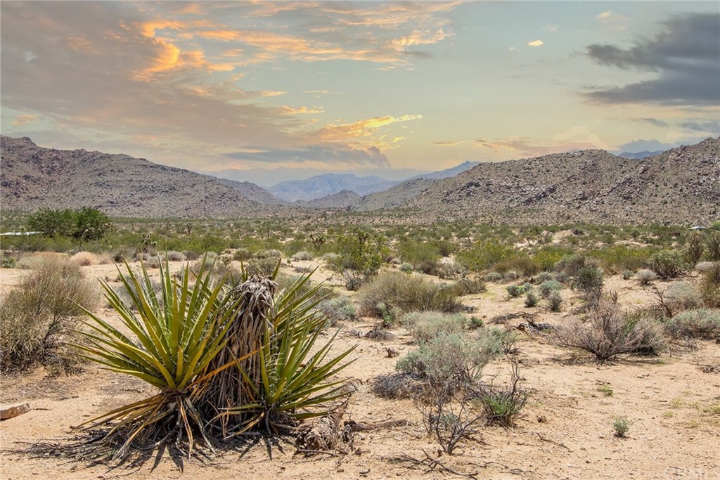 63251 Quail Springs Road Joshua Tree, CA 92252 - Photo 1 of 1