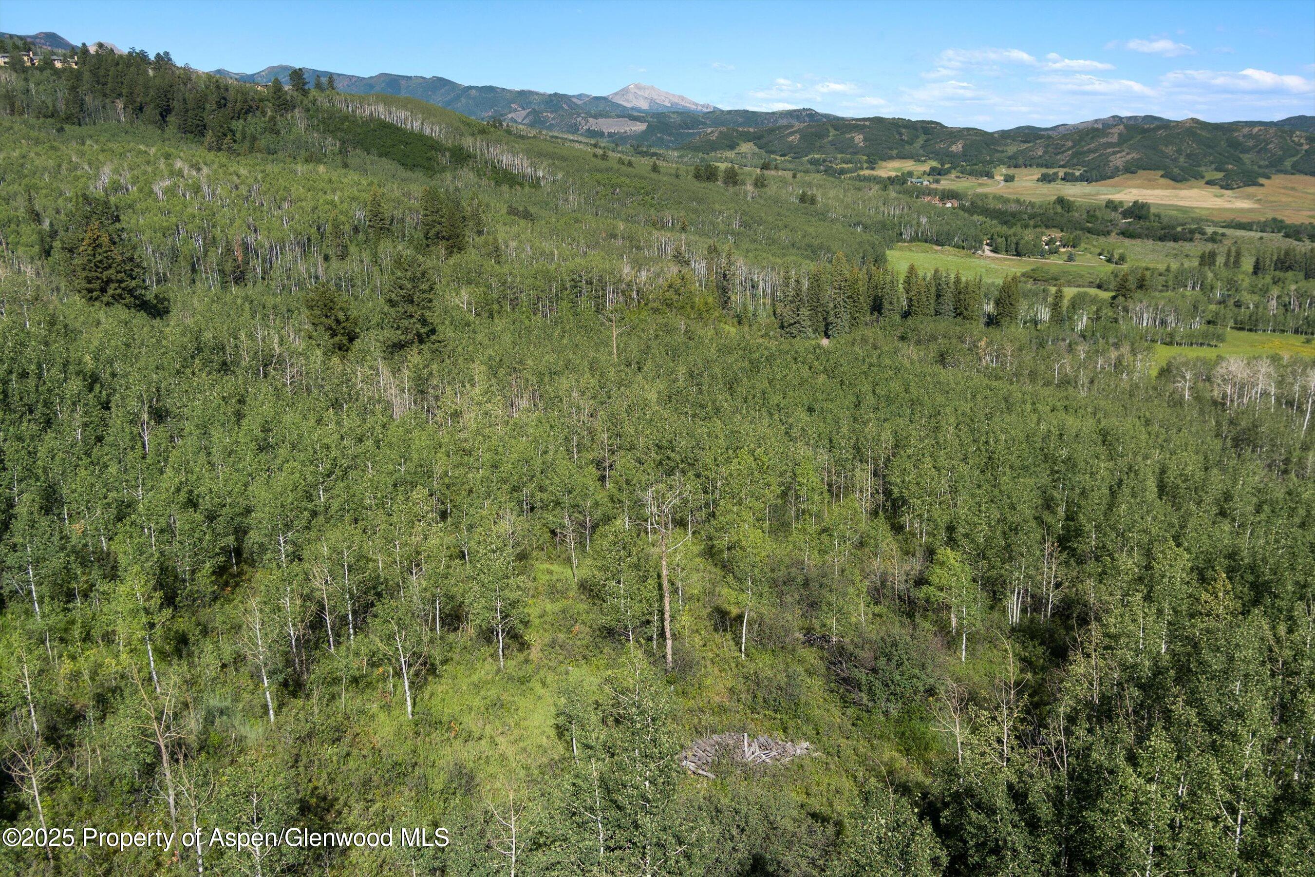 1833 West Buttermilk Road Aspen, CO 81611 - Photo 9 of 18 Lot 2 Homesite