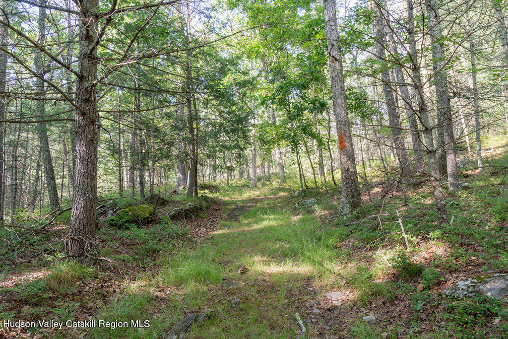 189 Tice Road Ellenville, NY 12428 - Photo 37 of 44 39