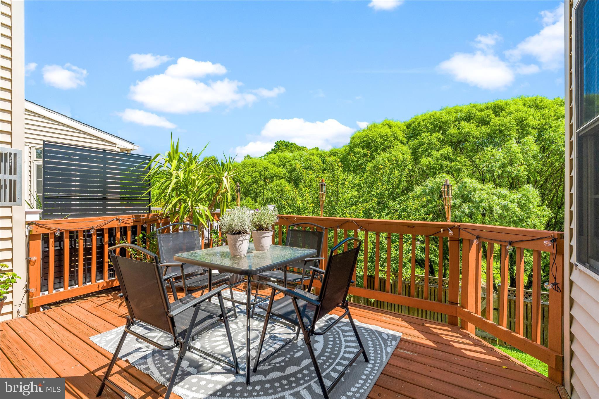 2442 Rippling Brook Road Frederick, MD 21701 - Photo 21 of 85