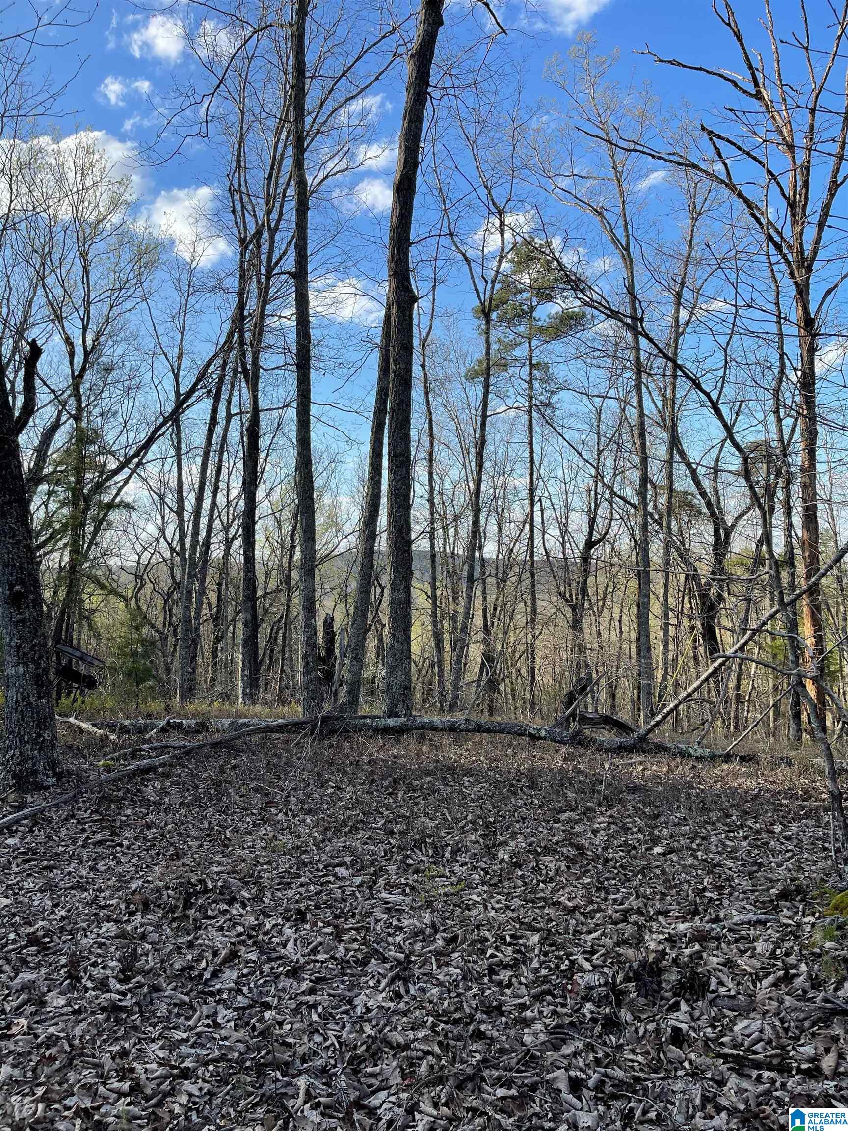 Lot 1 Statum Farm Road, Unit 1 Columbiana, AL 35051 - Photo 5 of 12