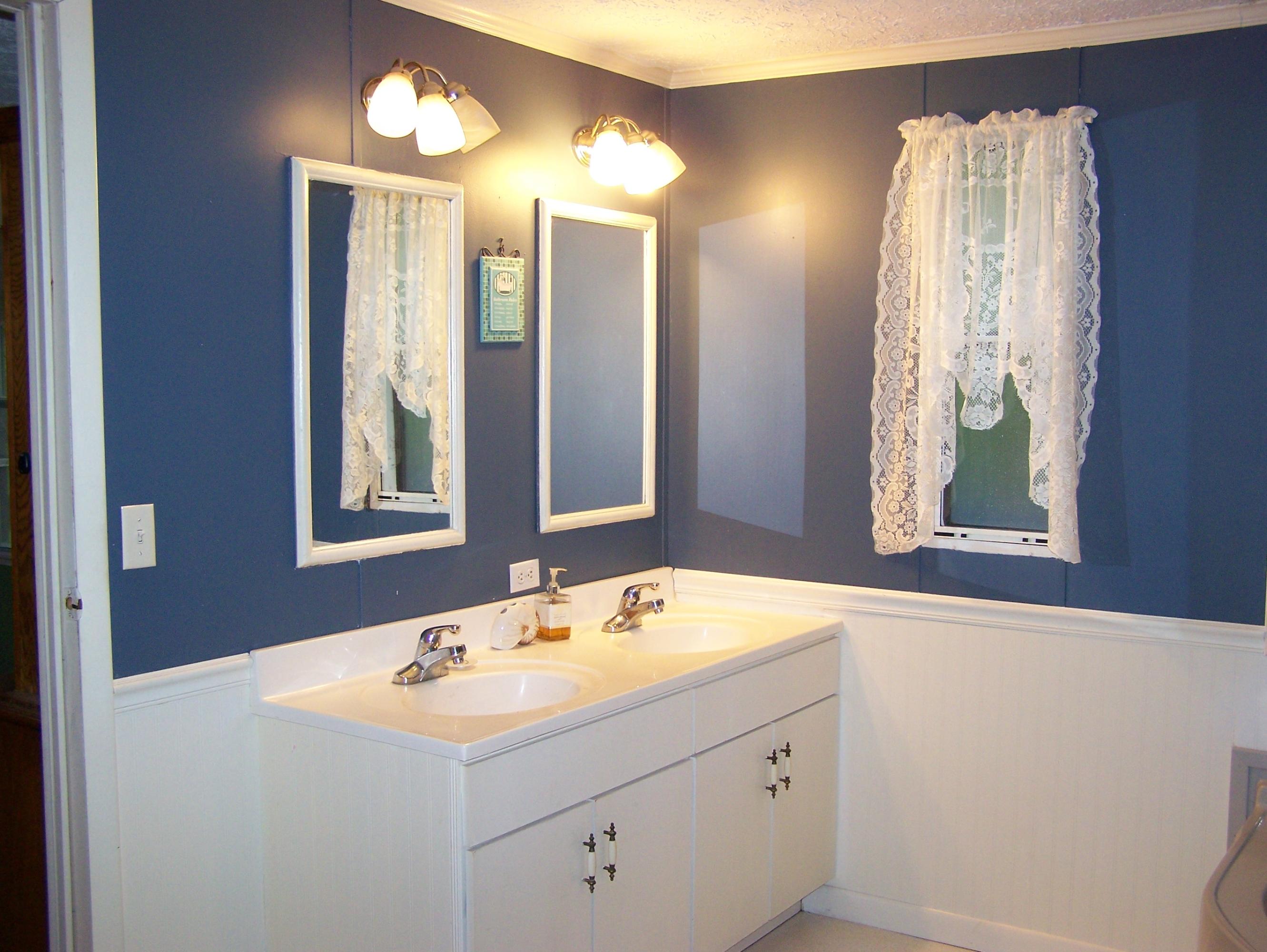 9513 Raccoon Woods Road Heiskell, TN 37754 - Photo 6 of 10 Raccoon Woods Master Vanity