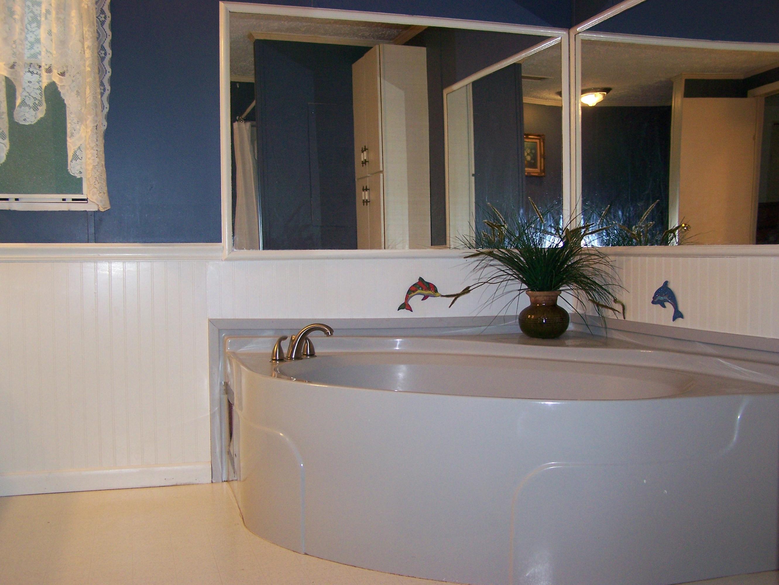9513 Raccoon Woods Road Heiskell, TN 37754 - Photo 8 of 10 Raccoon Woods Garden Tub