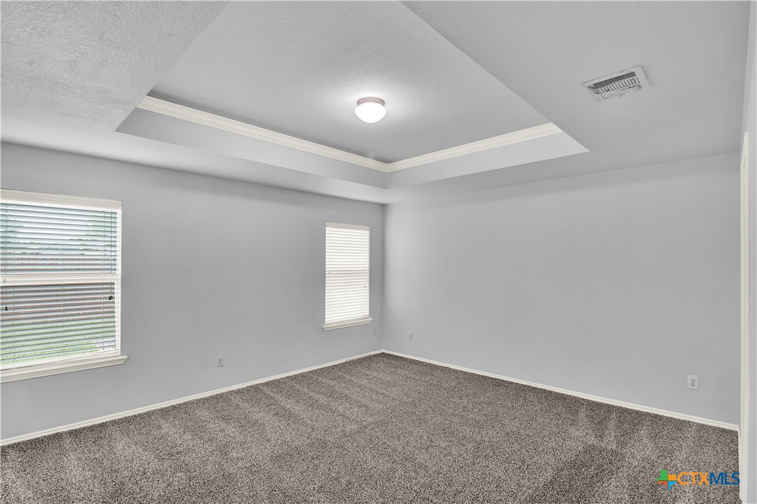 117 Bashaw Loop Temple, TX 76502 - Photo 15 of 20 an empty room with windows