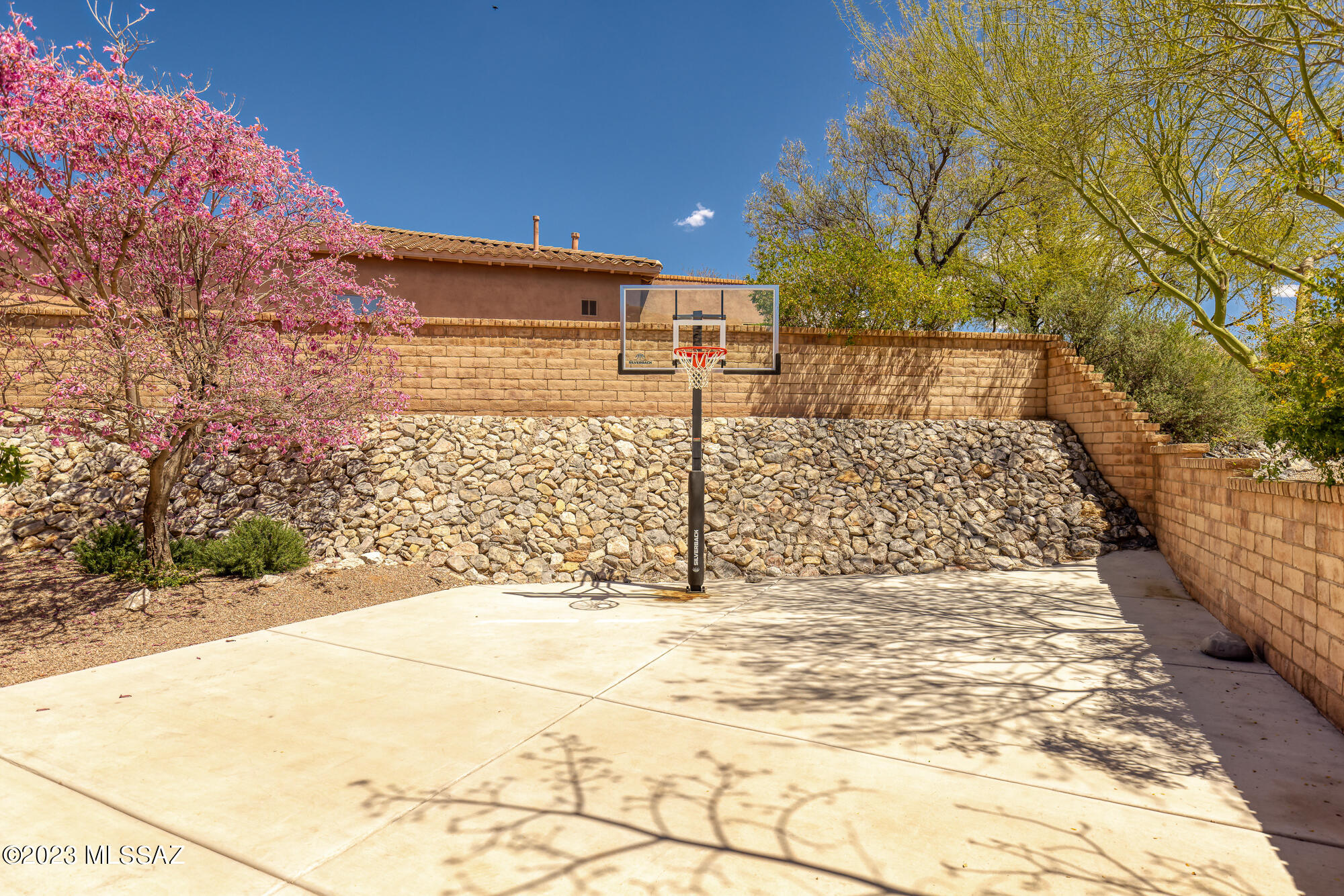 4367 East Pinnacle Ridge Place Tucson, AZ 85718 - Photo 48 of 50