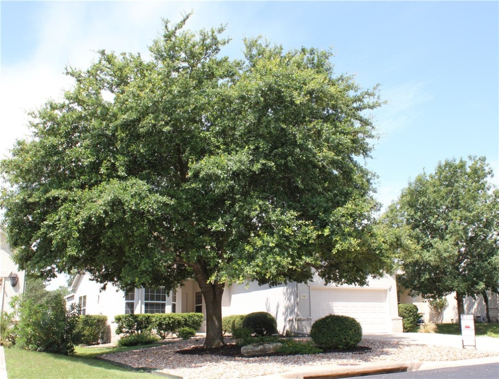 115 Whitewing Way Georgetown, TX 78633 - Photo 1 of 1 Gallery Image 1