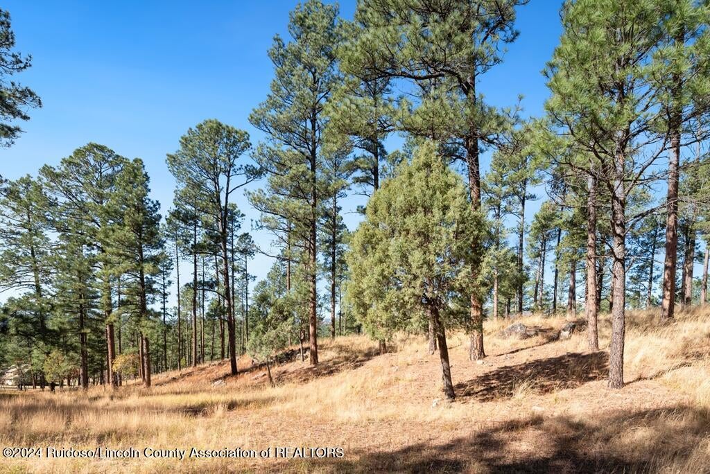 223 Hull Road Ruidoso, NM 88345 - Photo 1 of 1 28