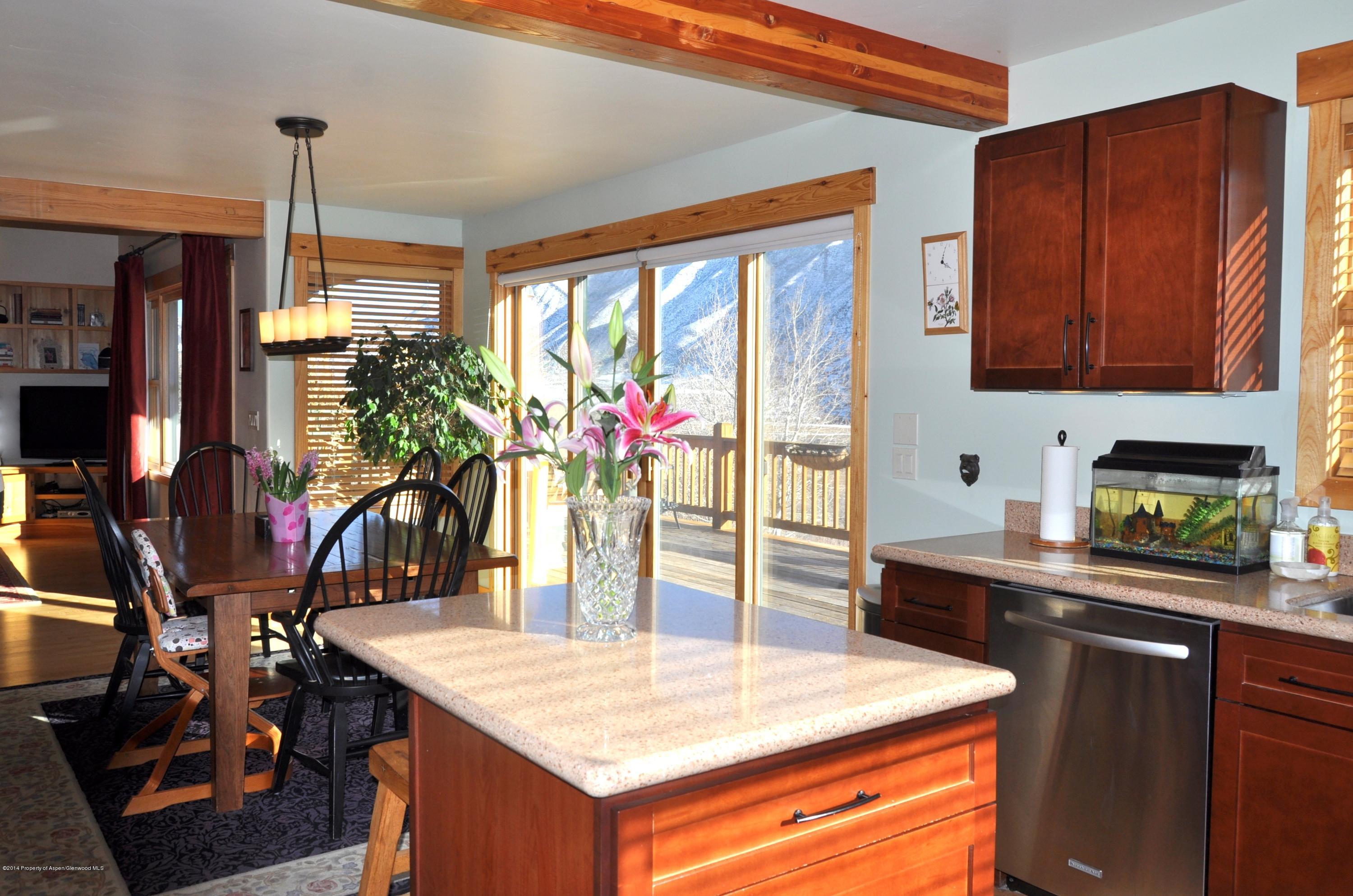 371 Faas Ranch Road New Castle, CO 81647 - Photo 15 of 41 DSC_0056