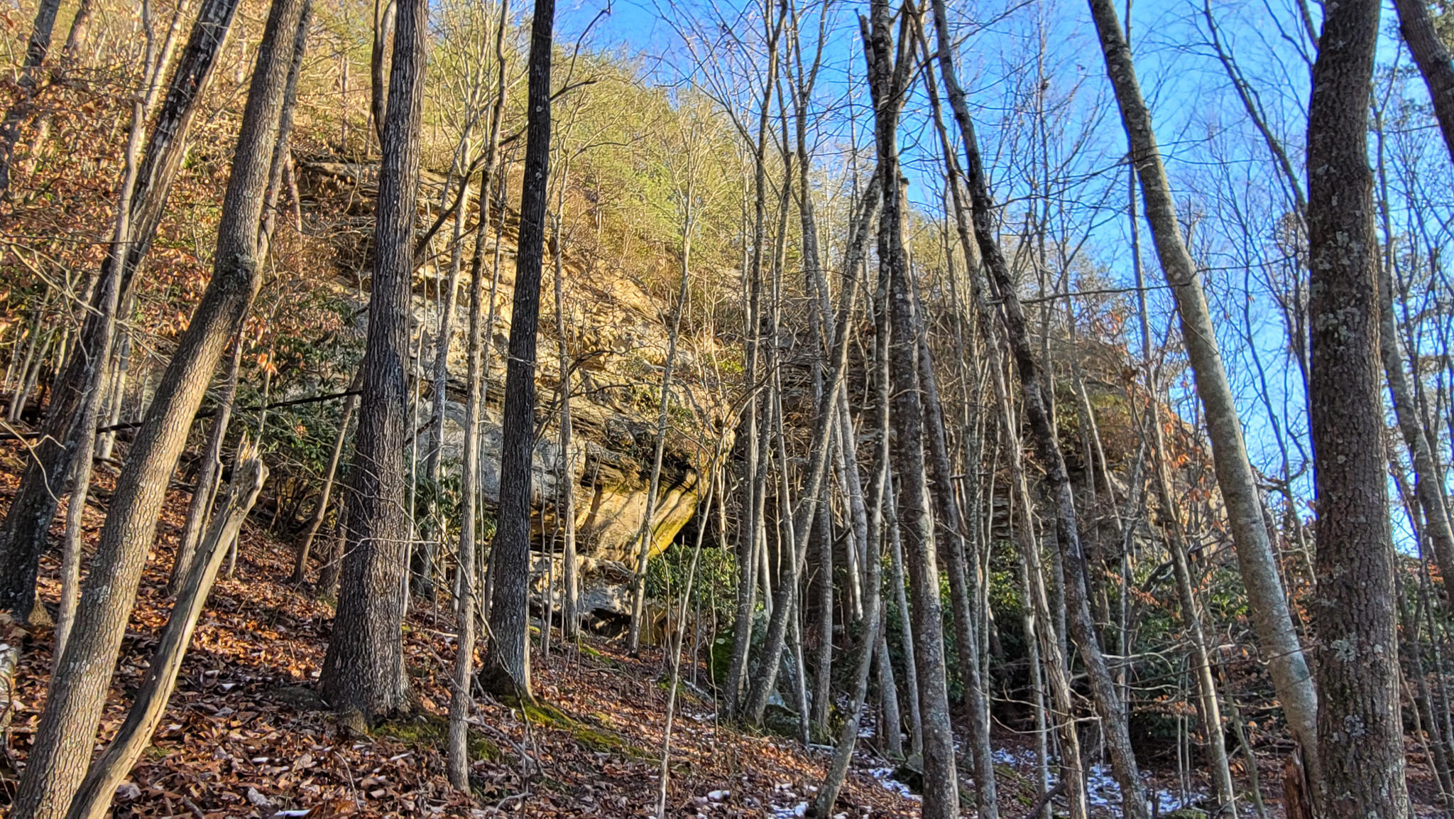 0 Beech Timber Road Beattyville, KY 41311 - Photo 22 of 54 20241212_161114