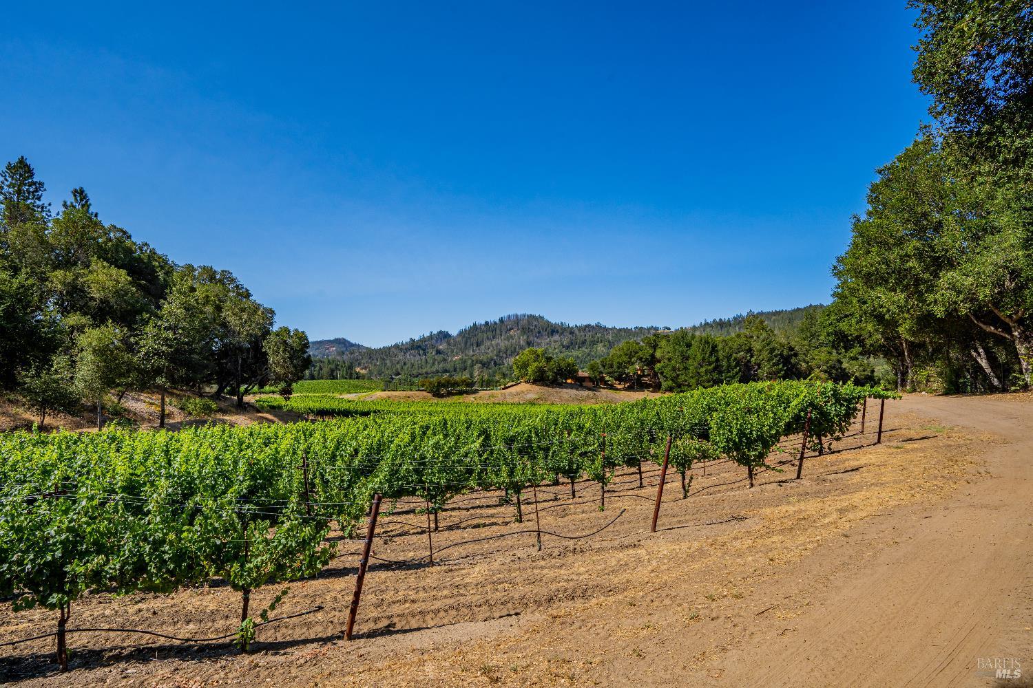 8320 Franz Valley Road Calistoga, CA 94515 - Photo 60 of 78