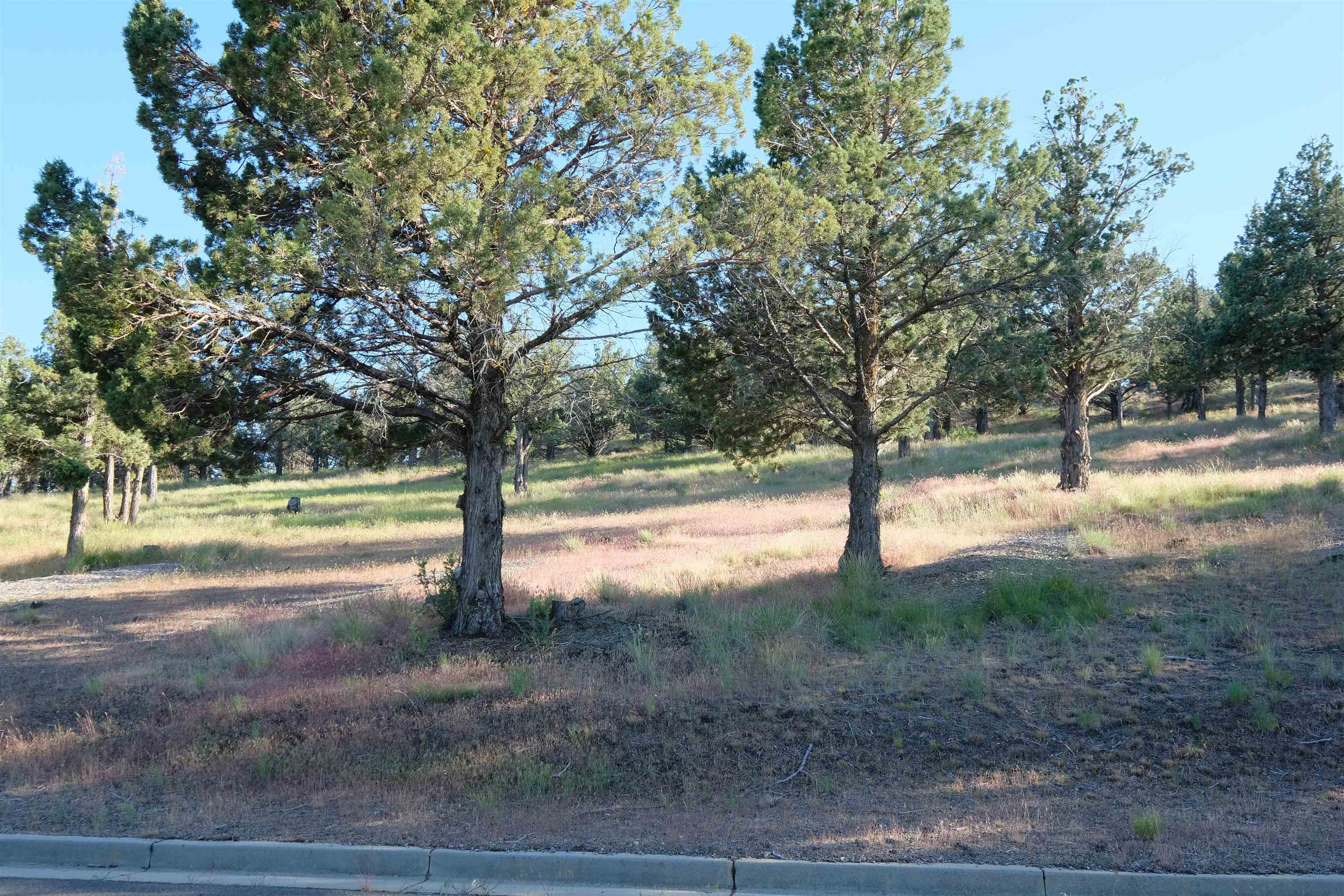 9-1 Unit Road Weed, CA 96094 - Photo 16 of 30 Gallery Image 16