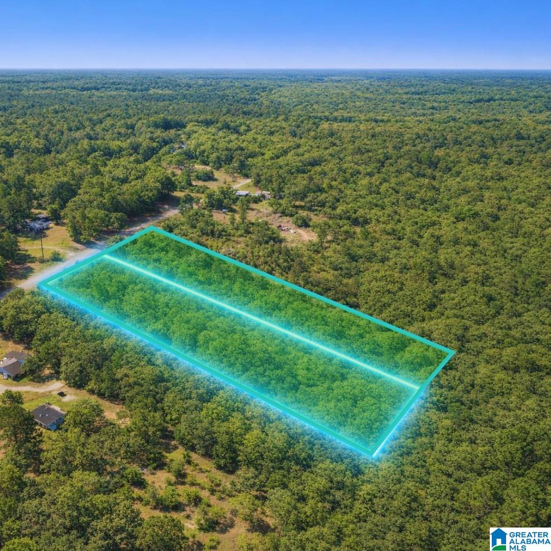 10415 Arden Road Chunchula, AL 36521 - Photo 8 of 10