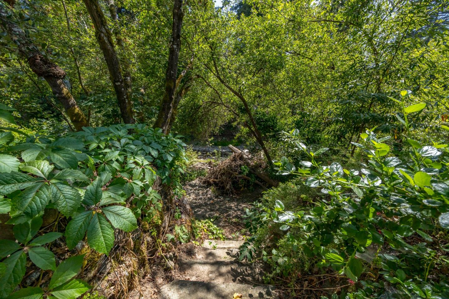 3714 Purling Brook Road Soquel, CA 95073 - Photo 57 of 73 Gallery Image 57