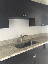 1150 East Sample Road, Unit 306 Pompano Beach, FL 33064 - Photo 3 of 9 a close view of sink and tap