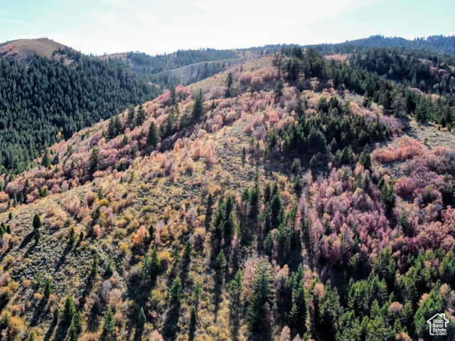 22 Skinner Canyon Road Montpelier, ID 83254 - Photo 8 of 9