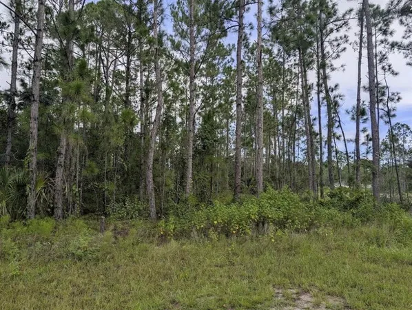 $75,000 | 1122 Poinciana Drive, Indian Lake Estates, FL 33843