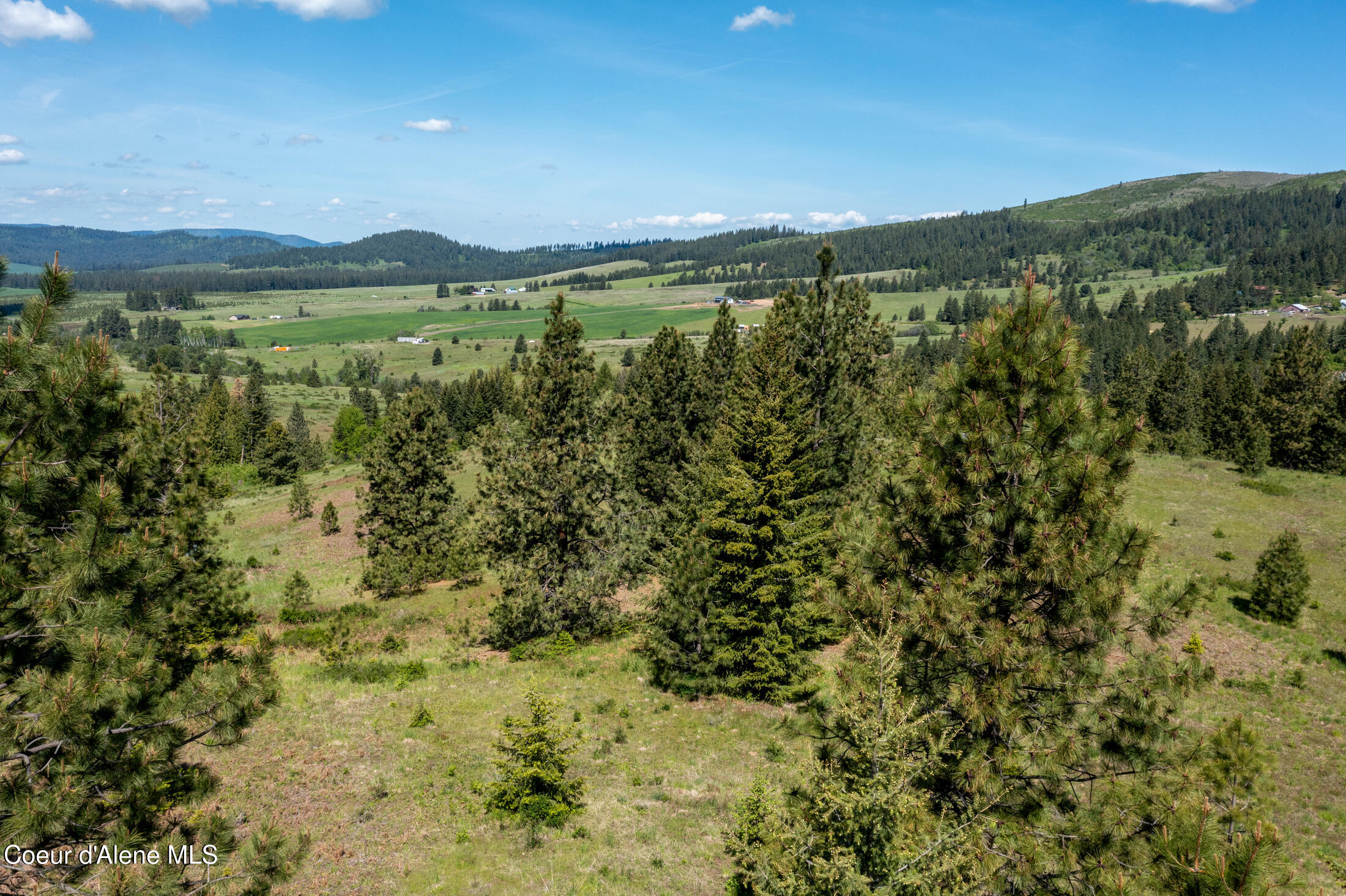 Nna Windfall Pass Road St. Maries, ID 83861 - Photo 7 of 30 10