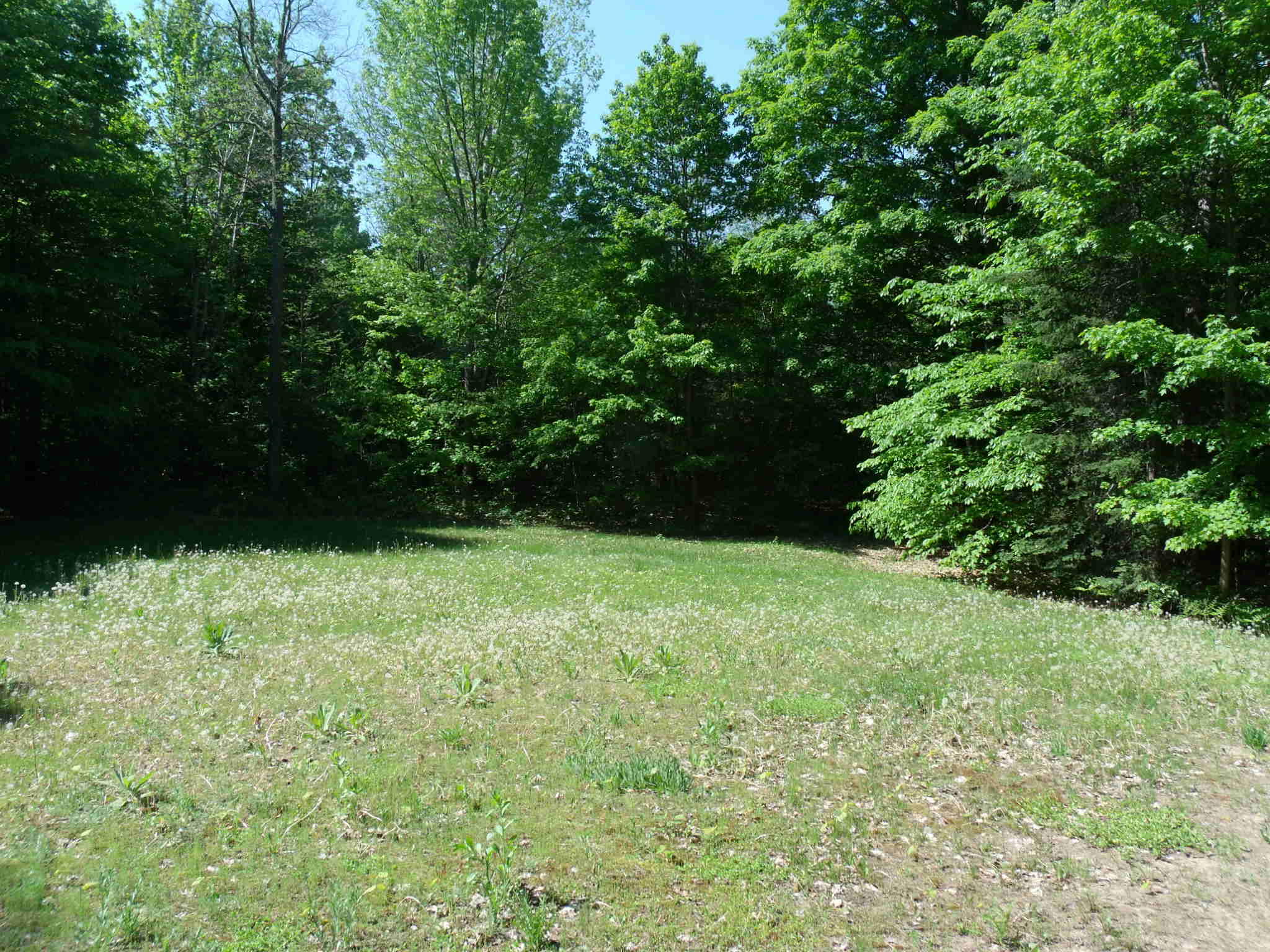 4183 North Ayr Road Alanson, MI 49706 - Photo 53 of 64 Gallery Image 53