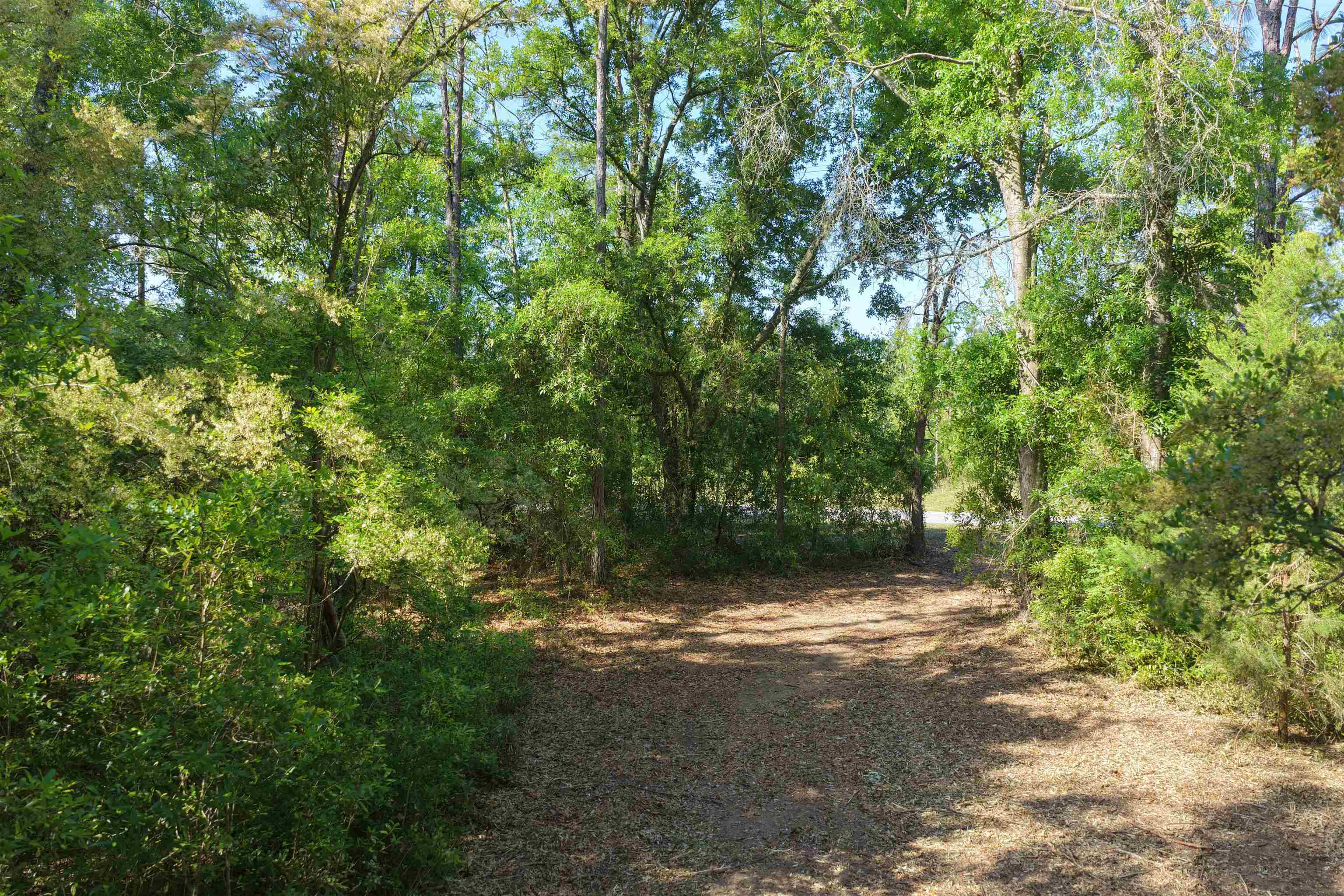 5386 Northeast Old Blue Springs Road Lee, FL 32059 - Photo 11 of 36