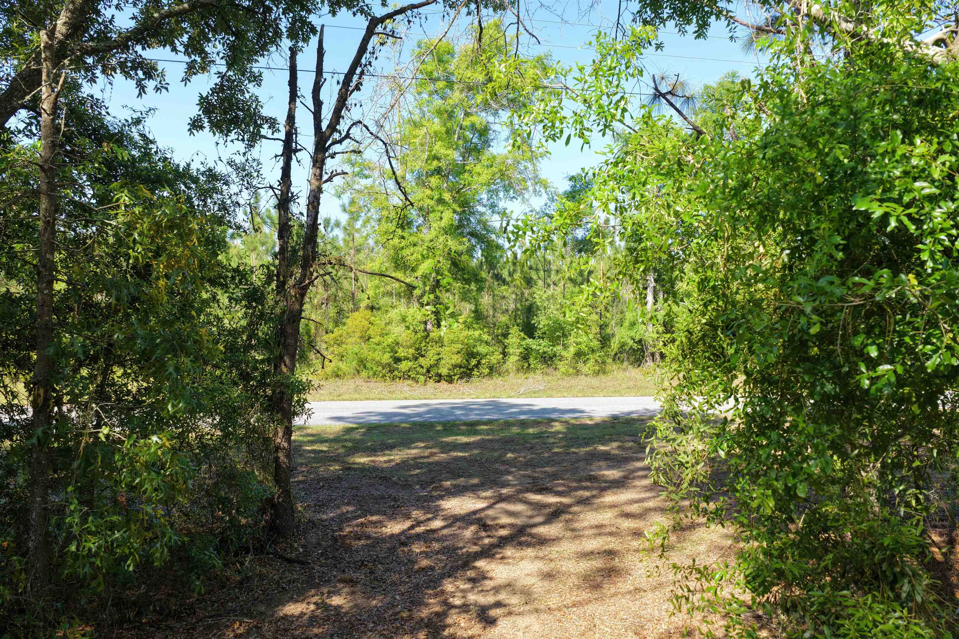 5386 Northeast Old Blue Springs Road Lee, FL 32059 - Photo 12 of 36