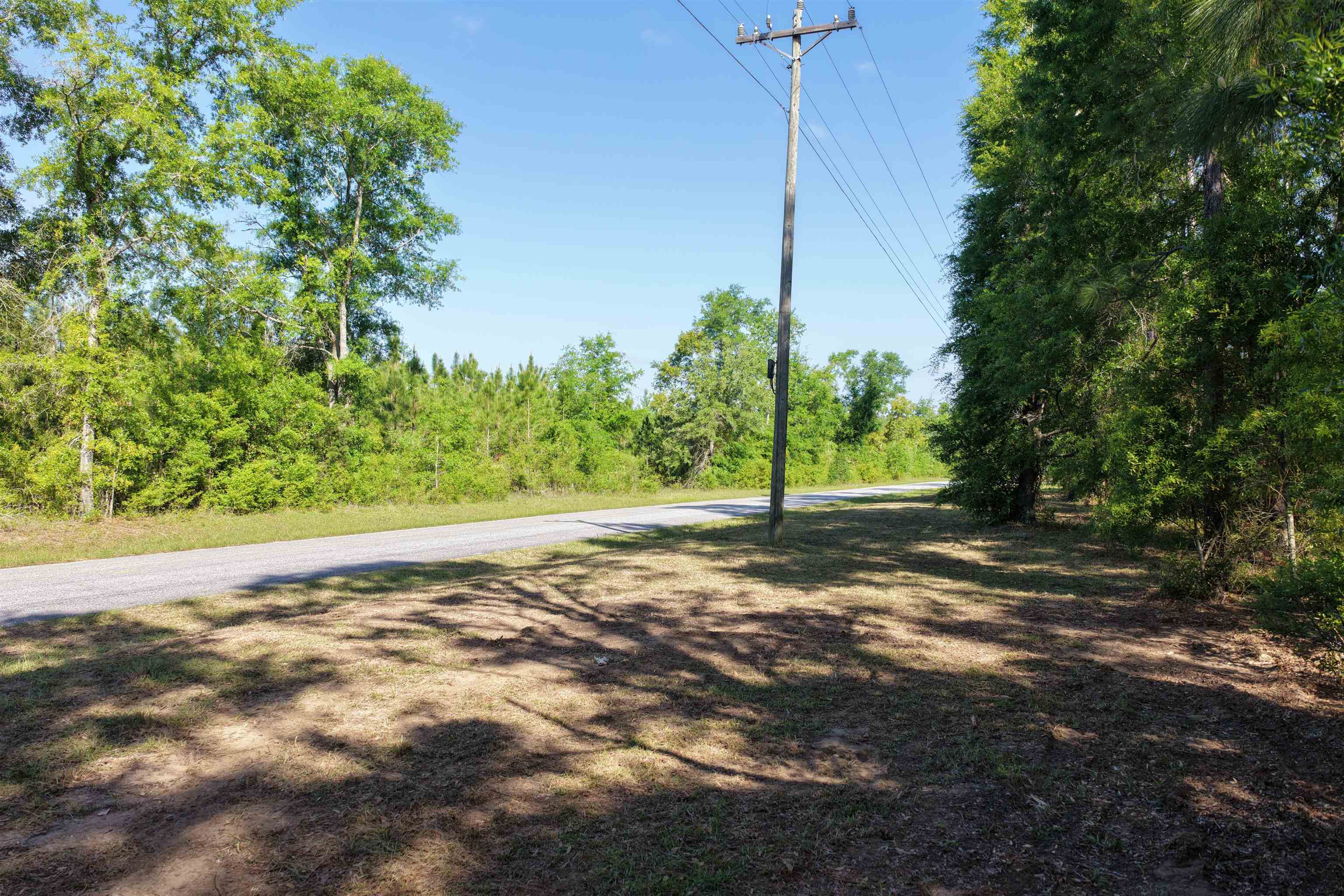 5386 Northeast Old Blue Springs Road Lee, FL 32059 - Photo 13 of 36