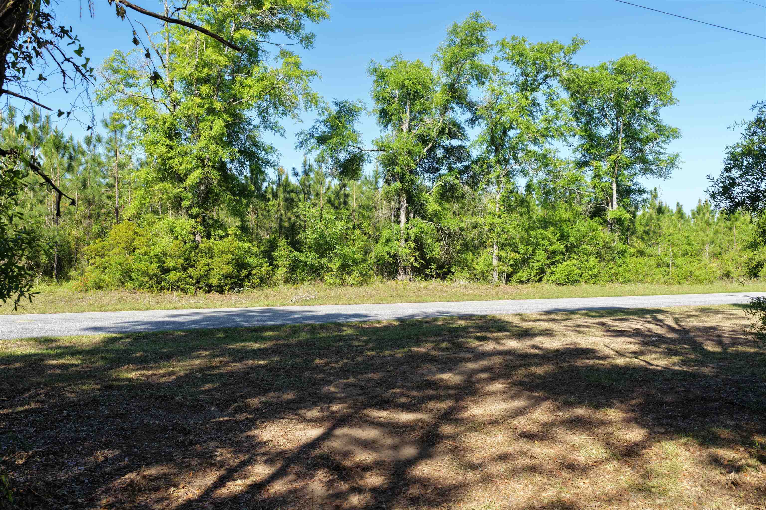 5386 Northeast Old Blue Springs Road Lee, FL 32059 - Photo 14 of 36