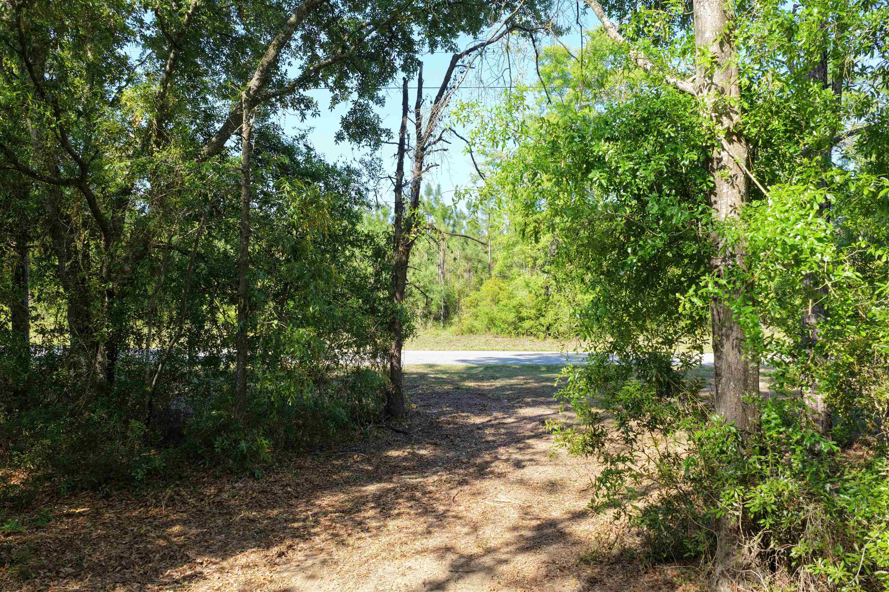 5386 Northeast Old Blue Springs Road Lee, FL 32059 - Photo 15 of 36