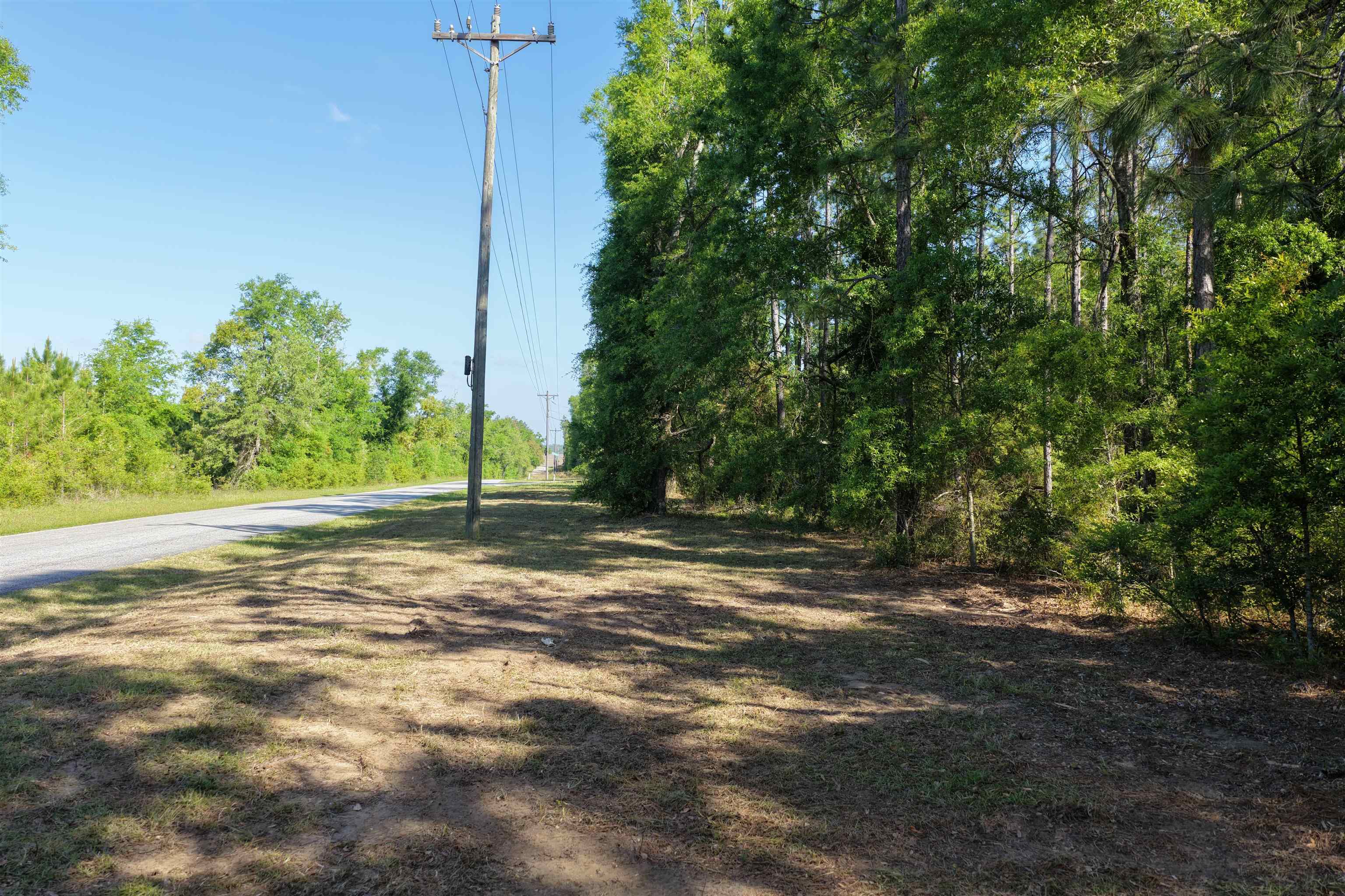 5386 Northeast Old Blue Springs Road Lee, FL 32059 - Photo 16 of 36