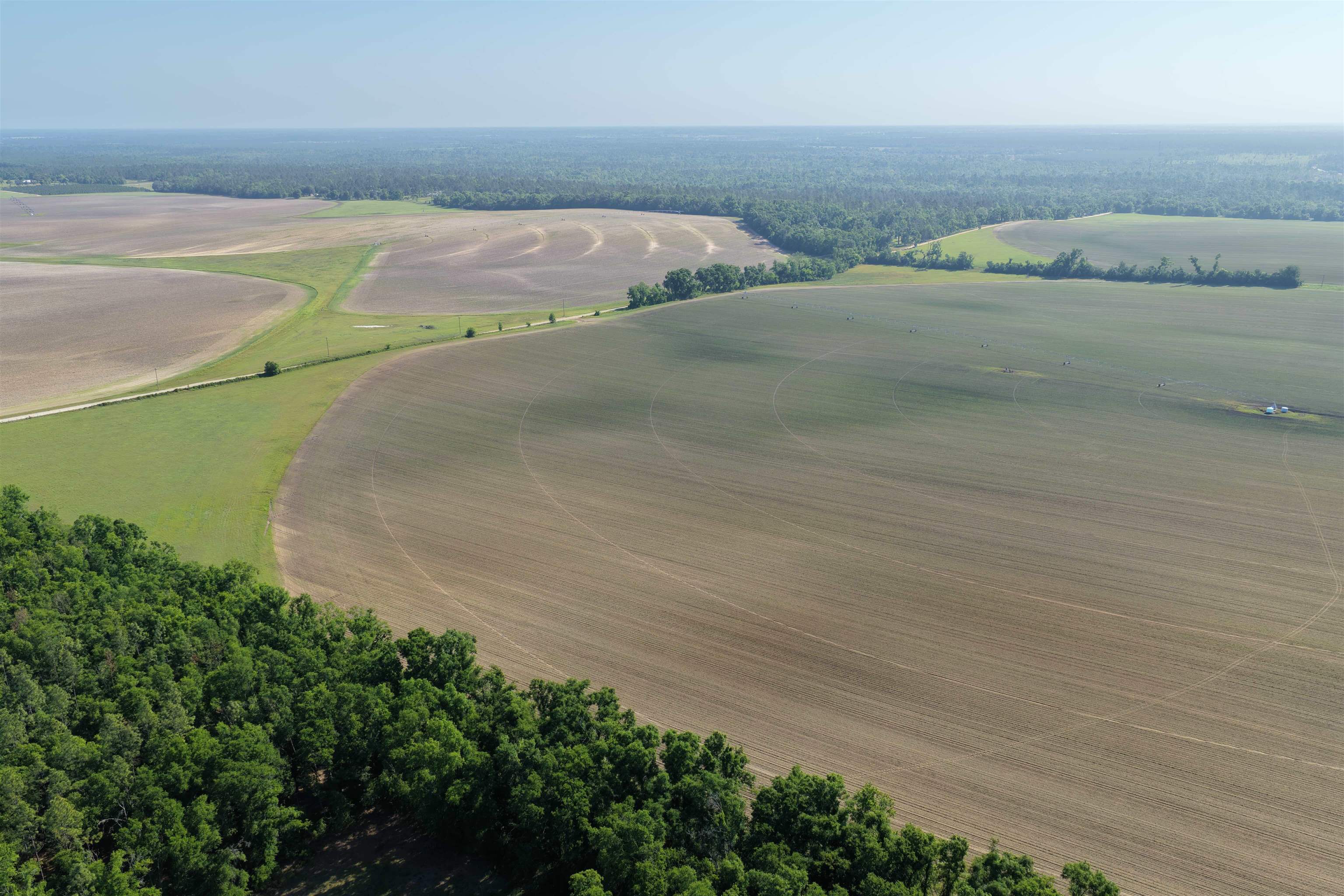 5386 Northeast Old Blue Springs Road Lee, FL 32059 - Photo 18 of 36