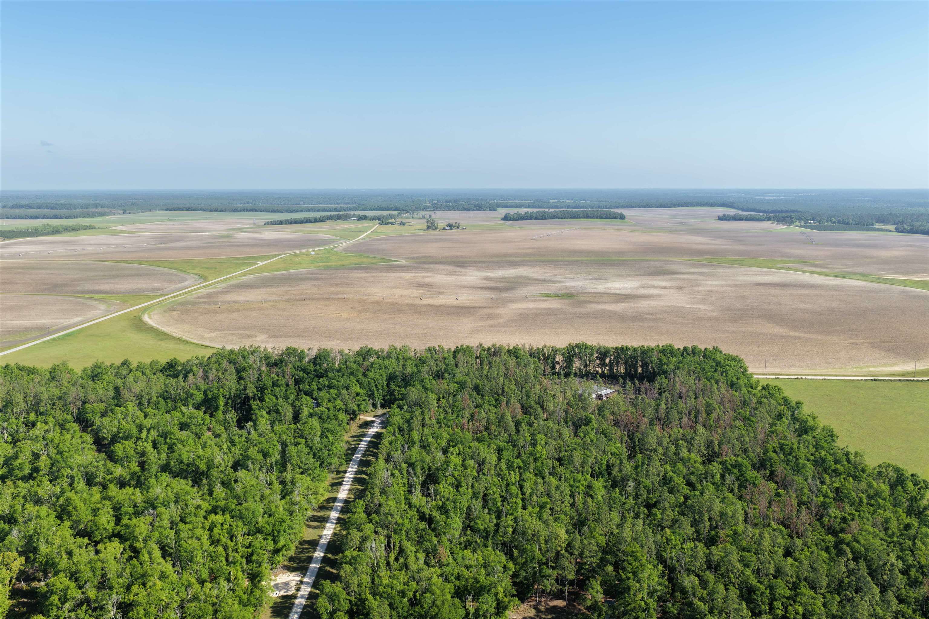 5386 Northeast Old Blue Springs Road Lee, FL 32059 - Photo 22 of 36