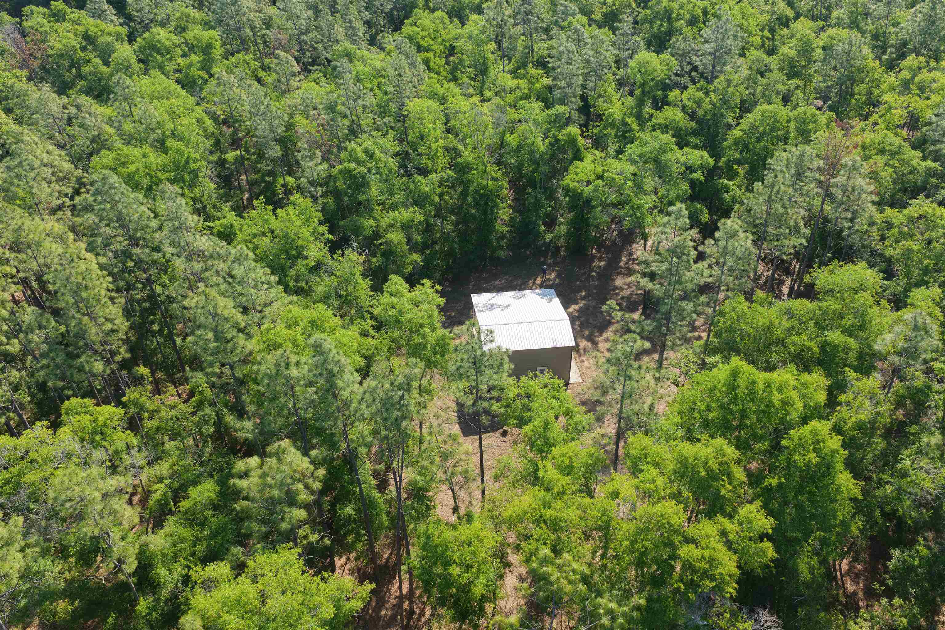 5386 Northeast Old Blue Springs Road Lee, FL 32059 - Photo 4 of 36