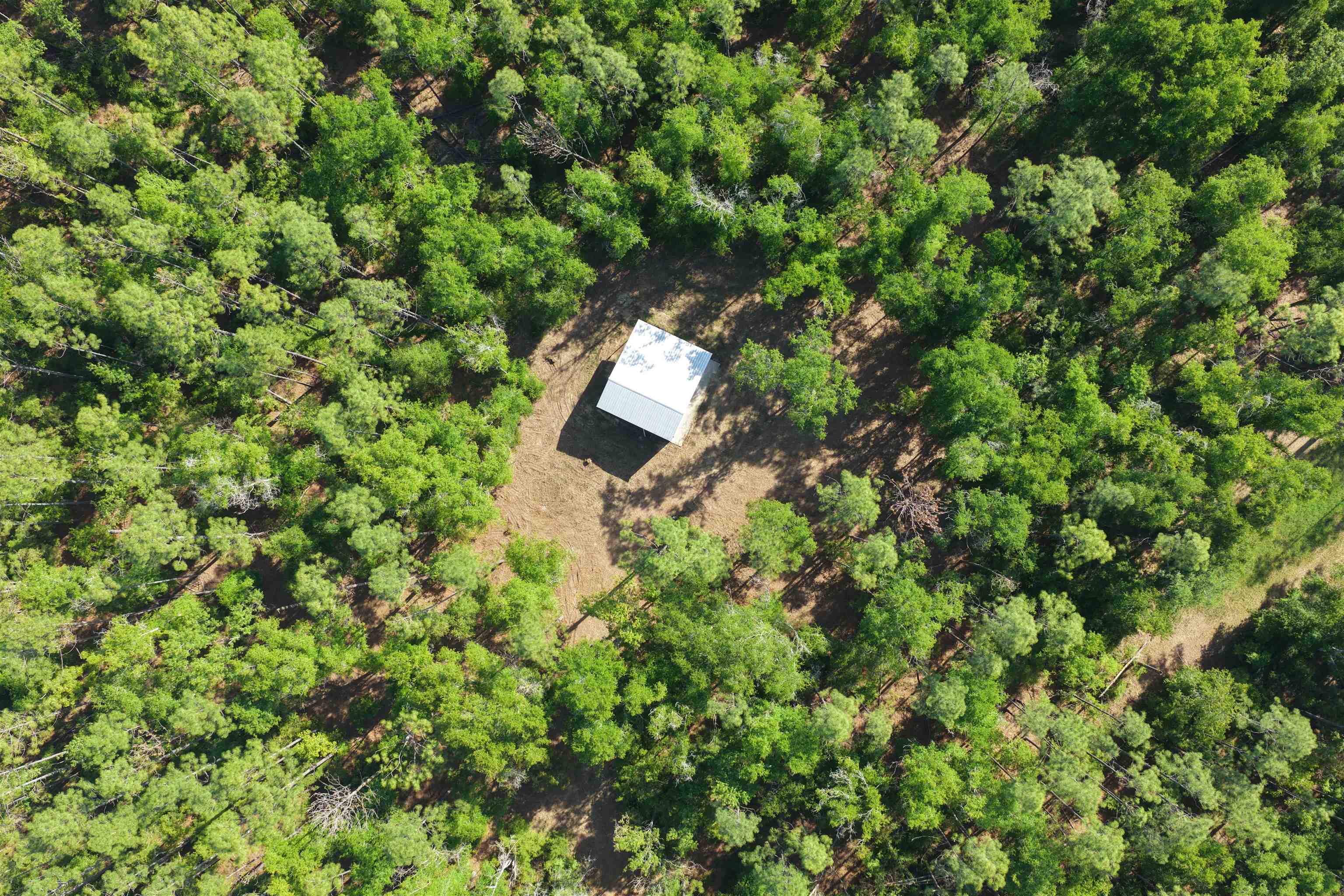 5386 Northeast Old Blue Springs Road Lee, FL 32059 - Photo 5 of 36