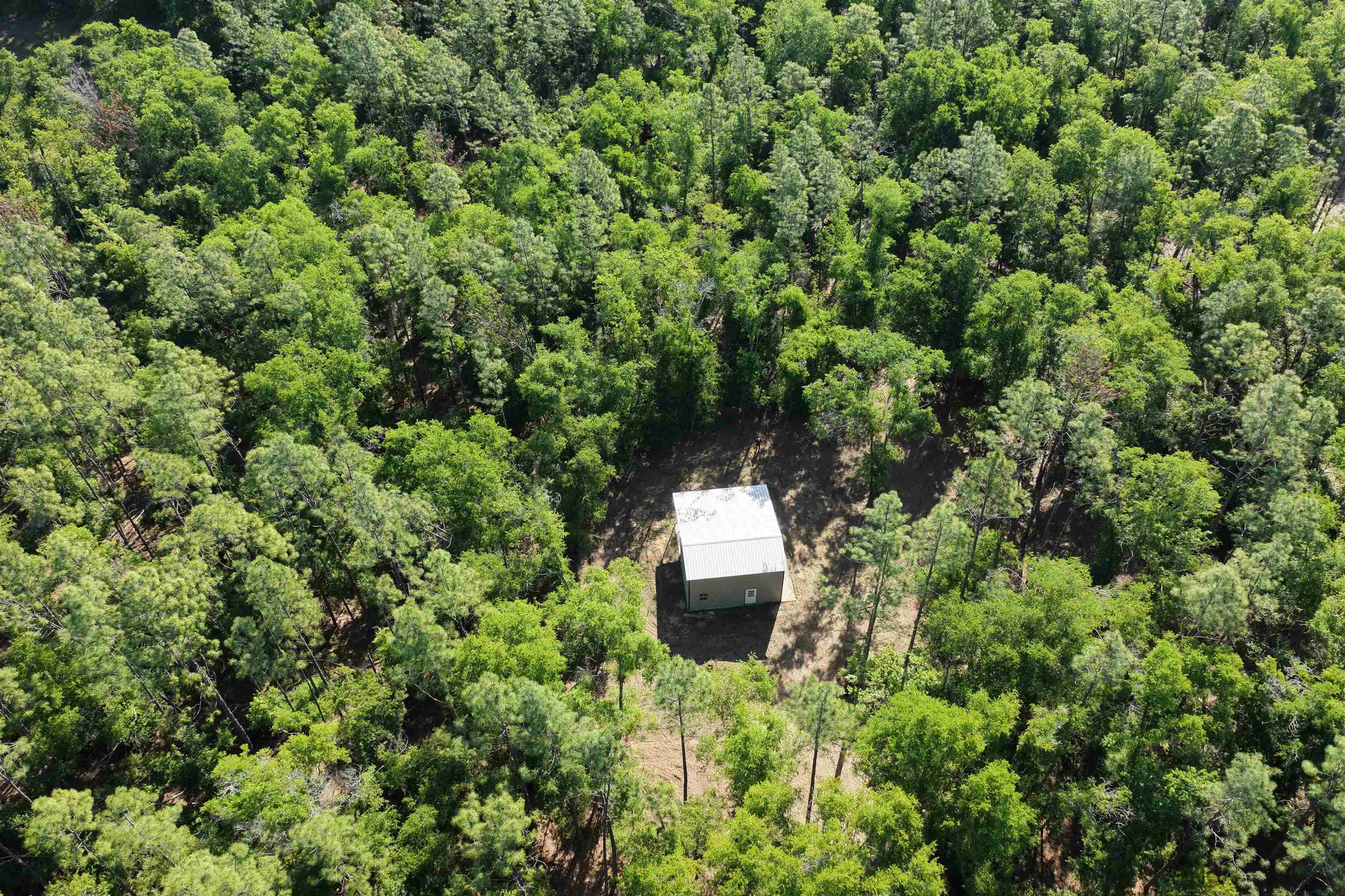 5386 Northeast Old Blue Springs Road Lee, FL 32059 - Photo 6 of 36