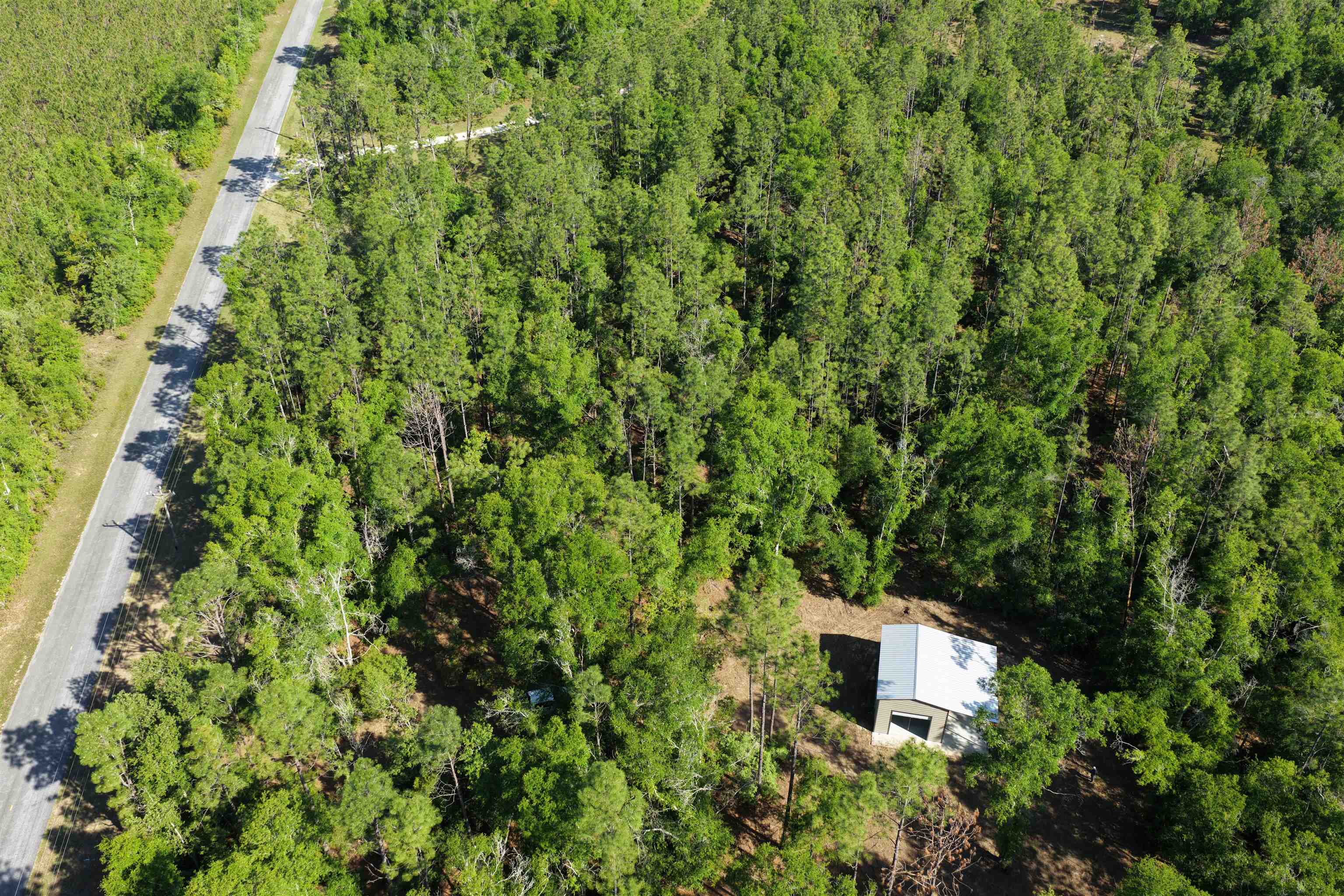 5386 Northeast Old Blue Springs Road Lee, FL 32059 - Photo 7 of 36