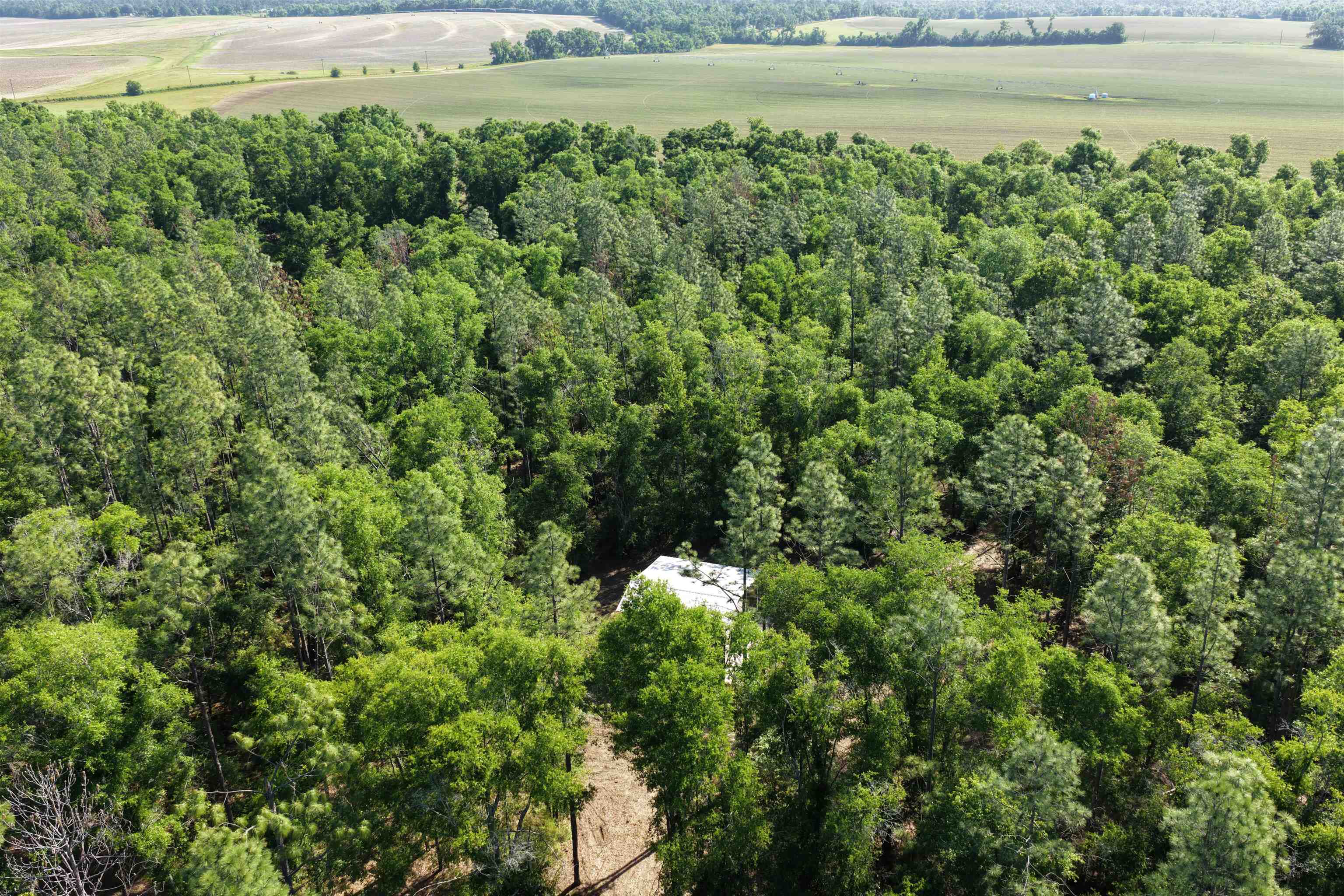 5386 Northeast Old Blue Springs Road Lee, FL 32059 - Photo 8 of 36