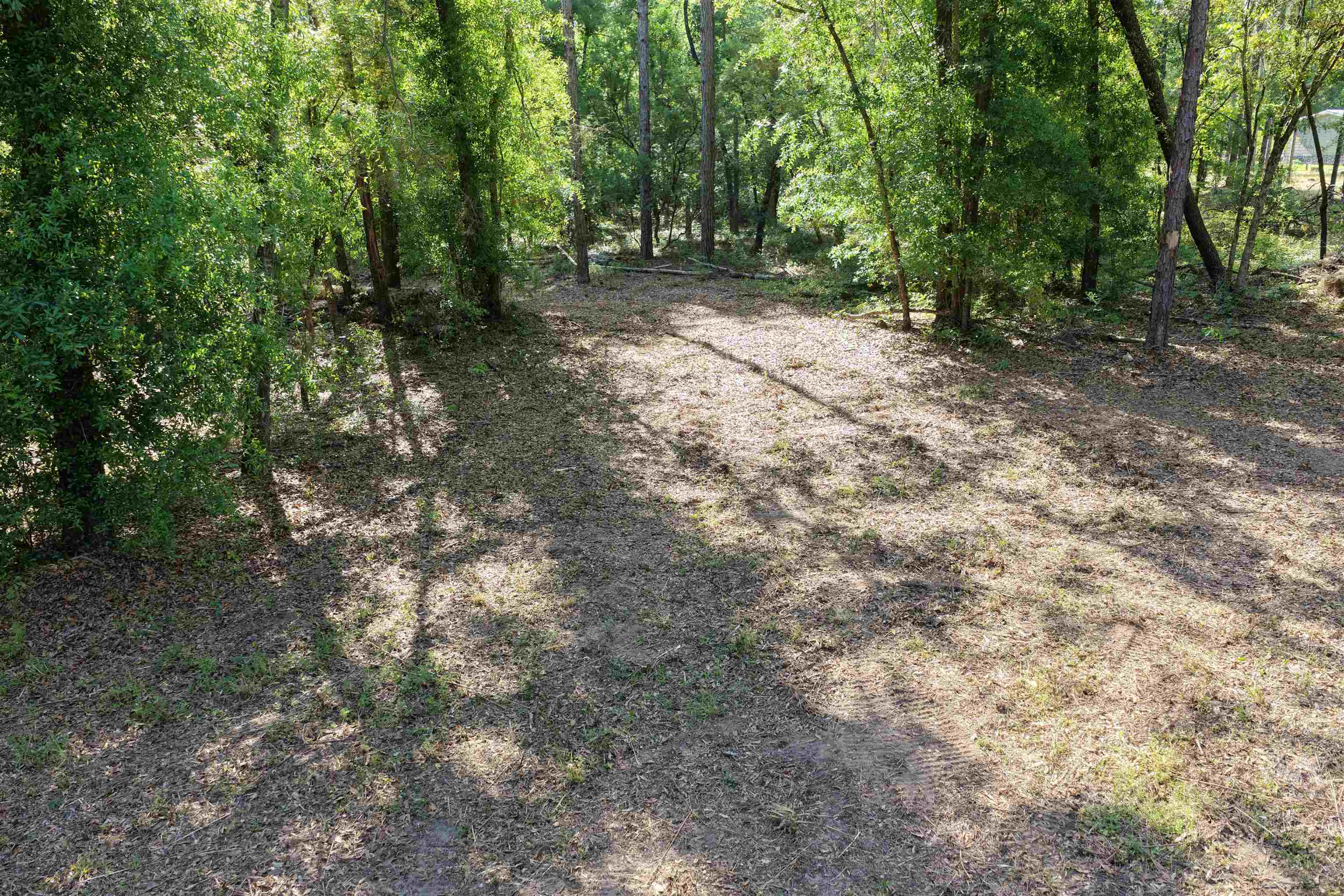 5386 Northeast Old Blue Springs Road Lee, FL 32059 - Photo 9 of 36