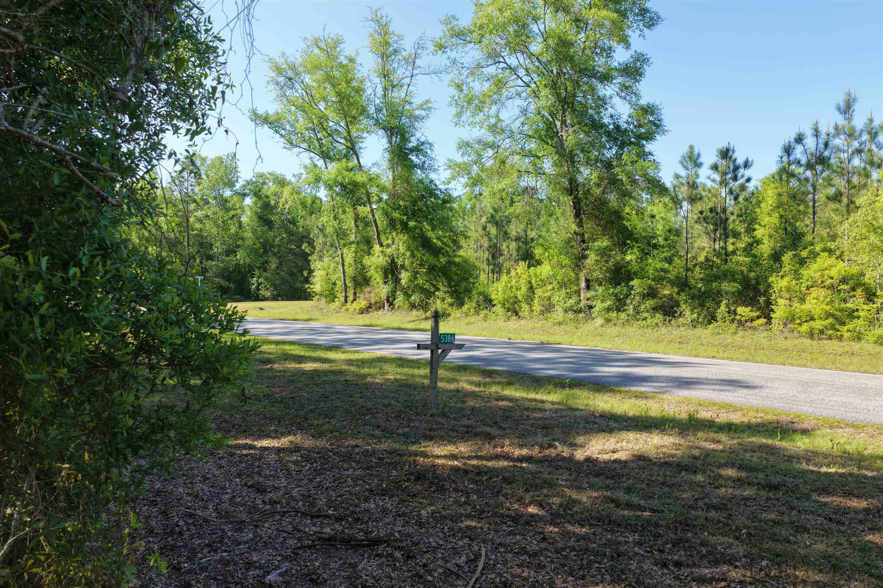 5386 Northeast Old Blue Springs Road Lee, FL 32059 - Photo 10 of 36