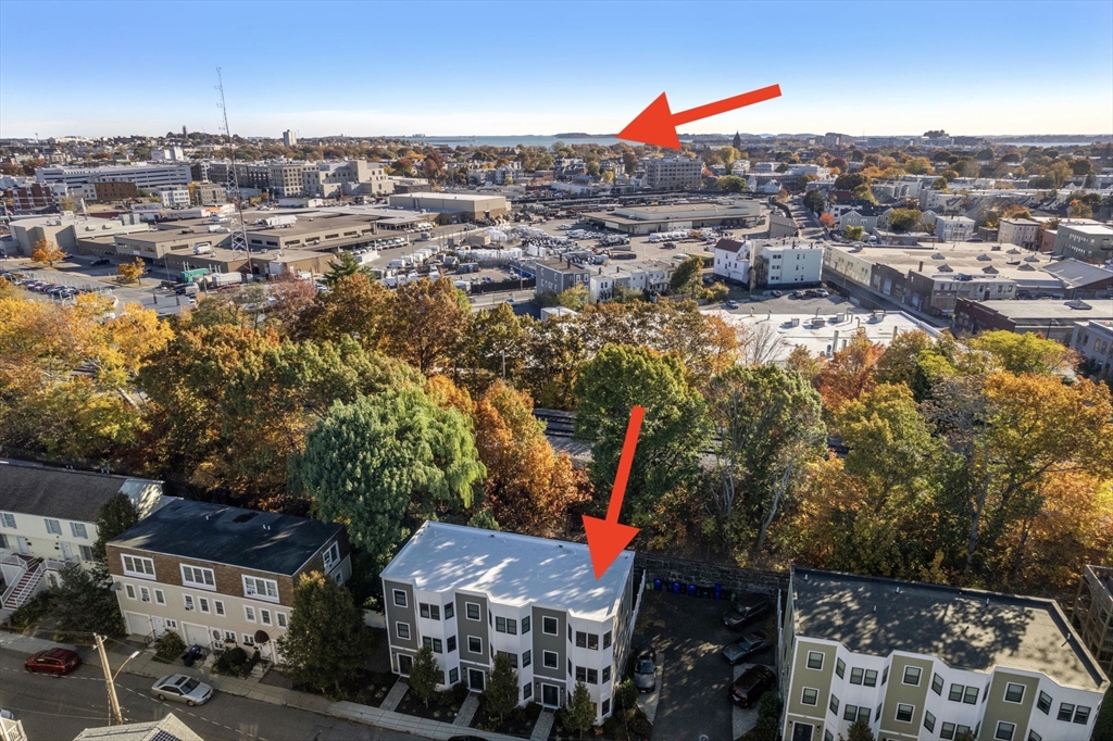 48-50 Robey Street, Unit 50 Boston, MA 02119 - Photo 40 of 42