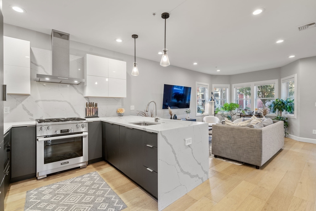 48-50 Robey Street, Unit 50 Boston, MA 02119 - Photo 5 of 42