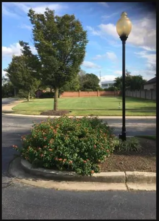 a view of a garden