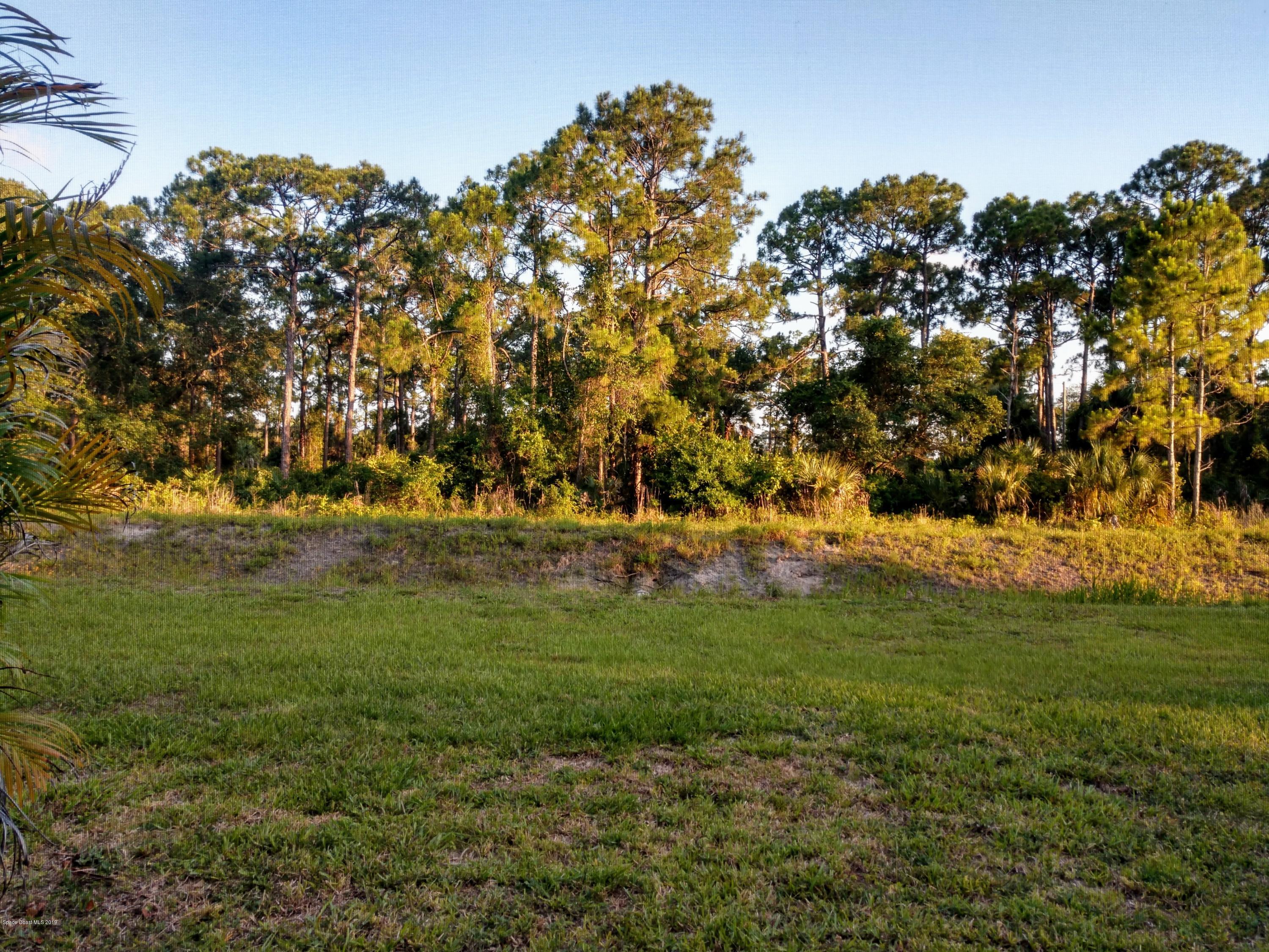 352 Rheine Road Northwest Palm Bay, FL 32907 - Photo 14 of 14 Veiw from Pool