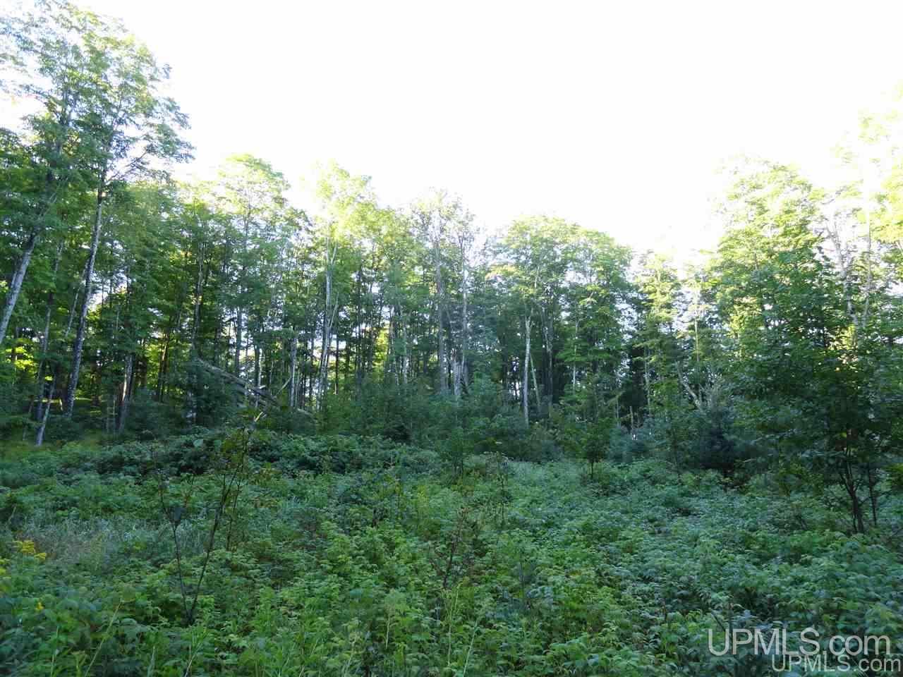 5-acres Co Rd Sa Cornell, MI 49818 - Photo 19 of 27