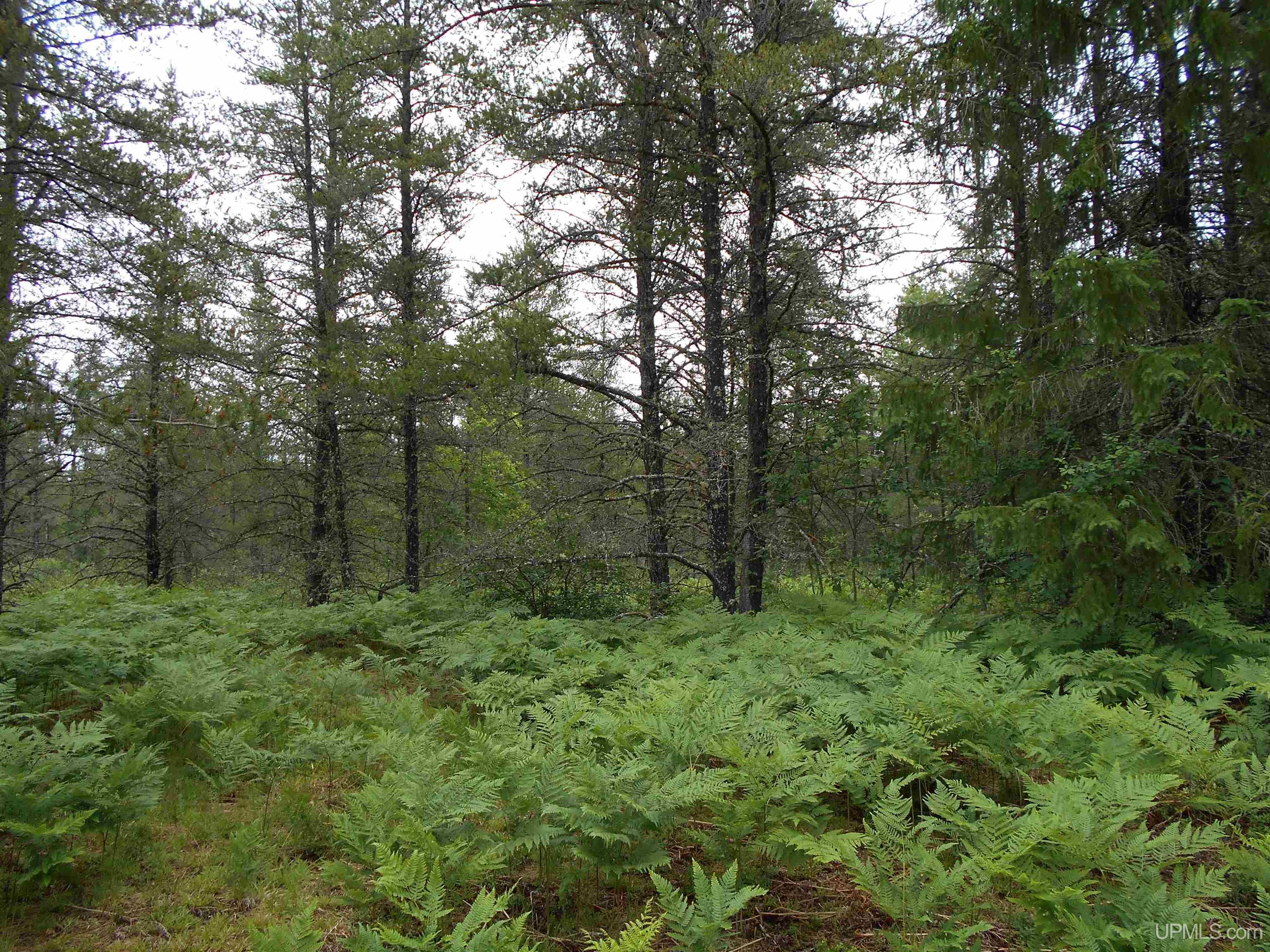 2245 West Co Road Seney, MI 49883 - Photo 3 of 22