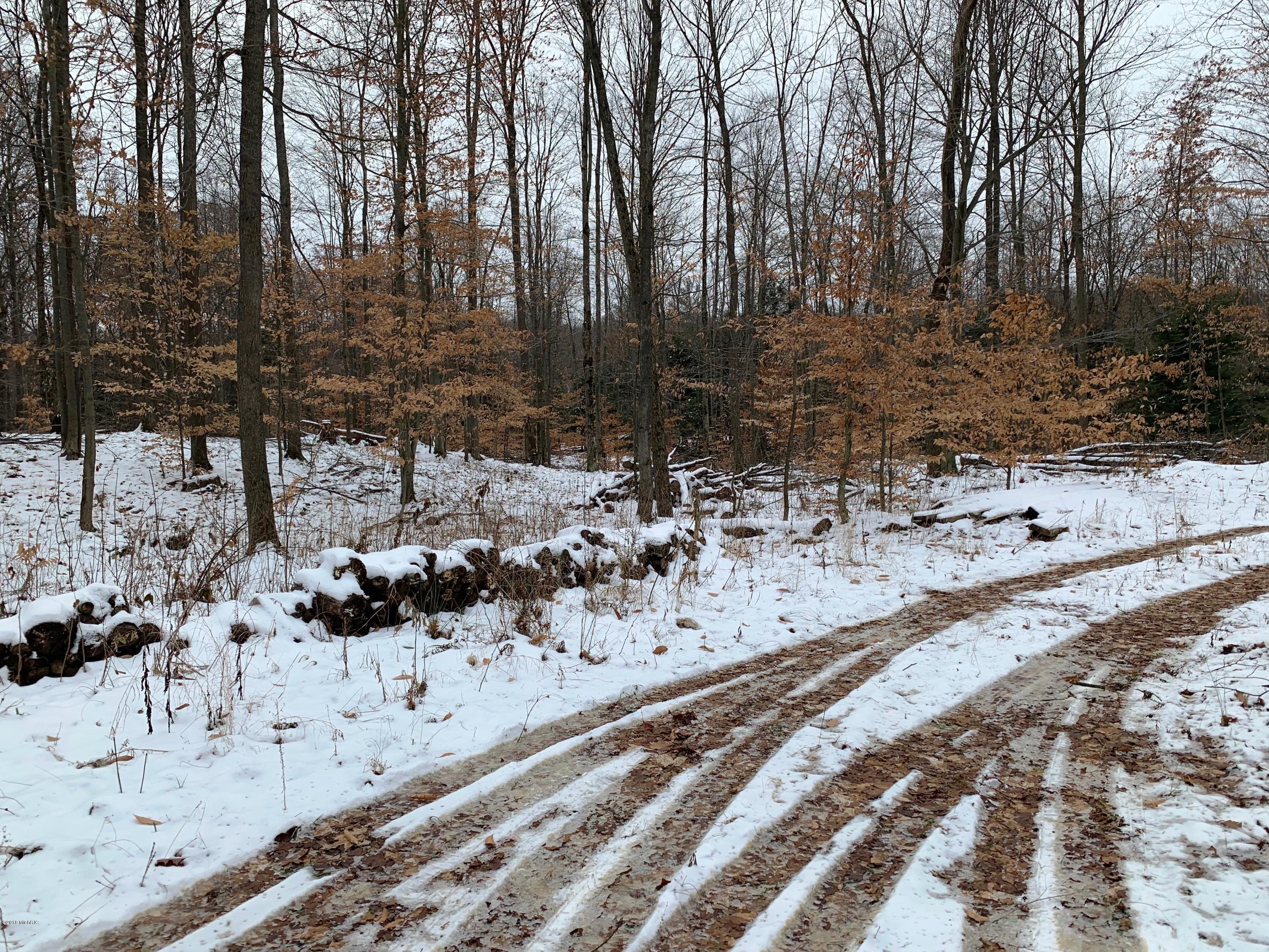 0 9 9 Mile Road Reed City, MI 49677 - Photo 2 of 12 IMG_0124