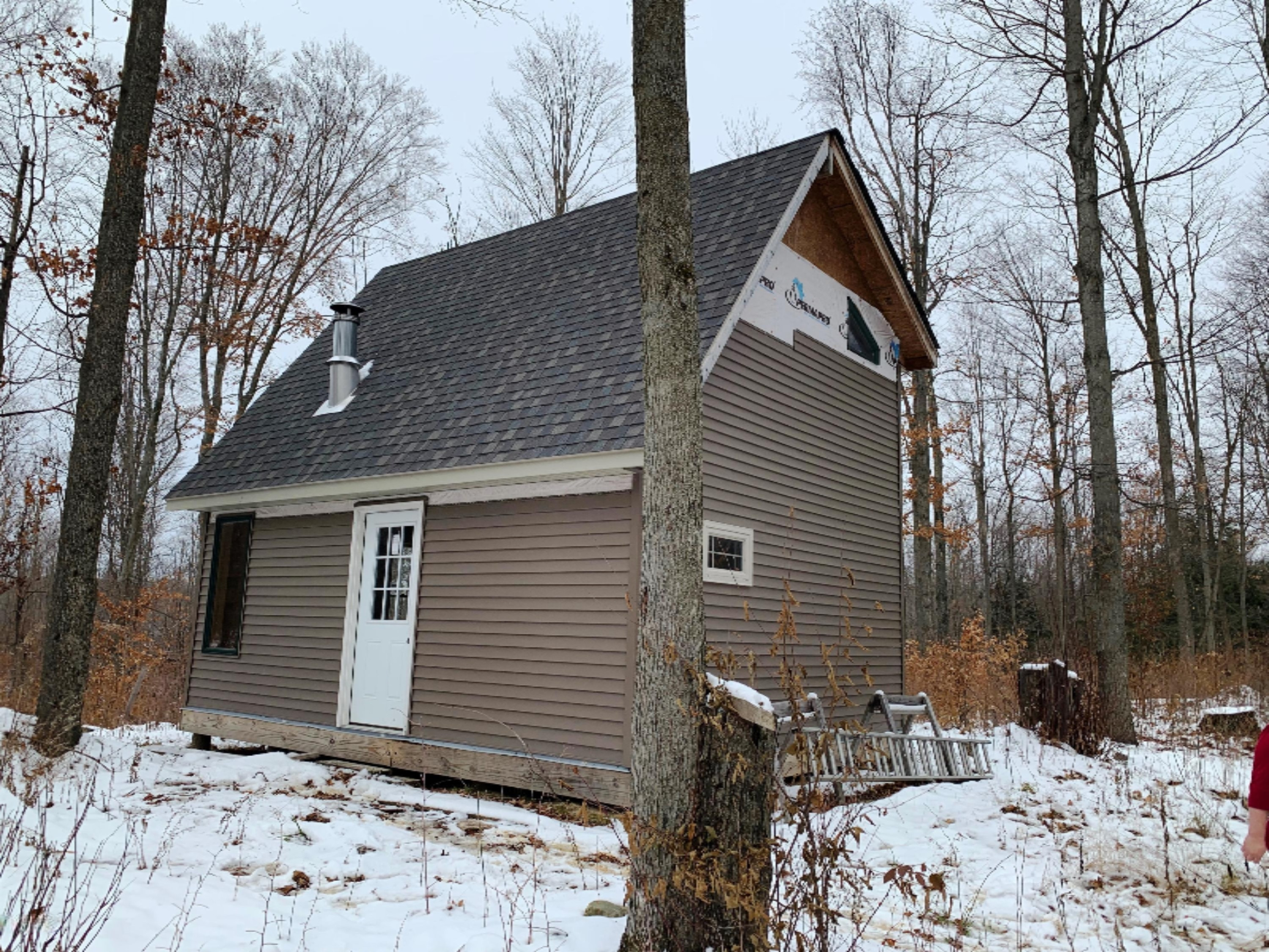 0 9 9 Mile Road Reed City, MI 49677 - Photo 10 of 12 IMG_0123