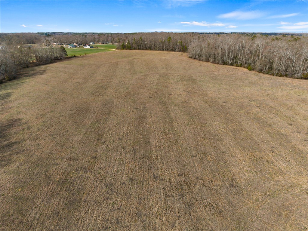2803 Trail Road Belton, SC 29627 - Photo 43 of 48 Expansive acreage provides a perfect canvas for your vision, surrounded by a peaceful, natural landscape.